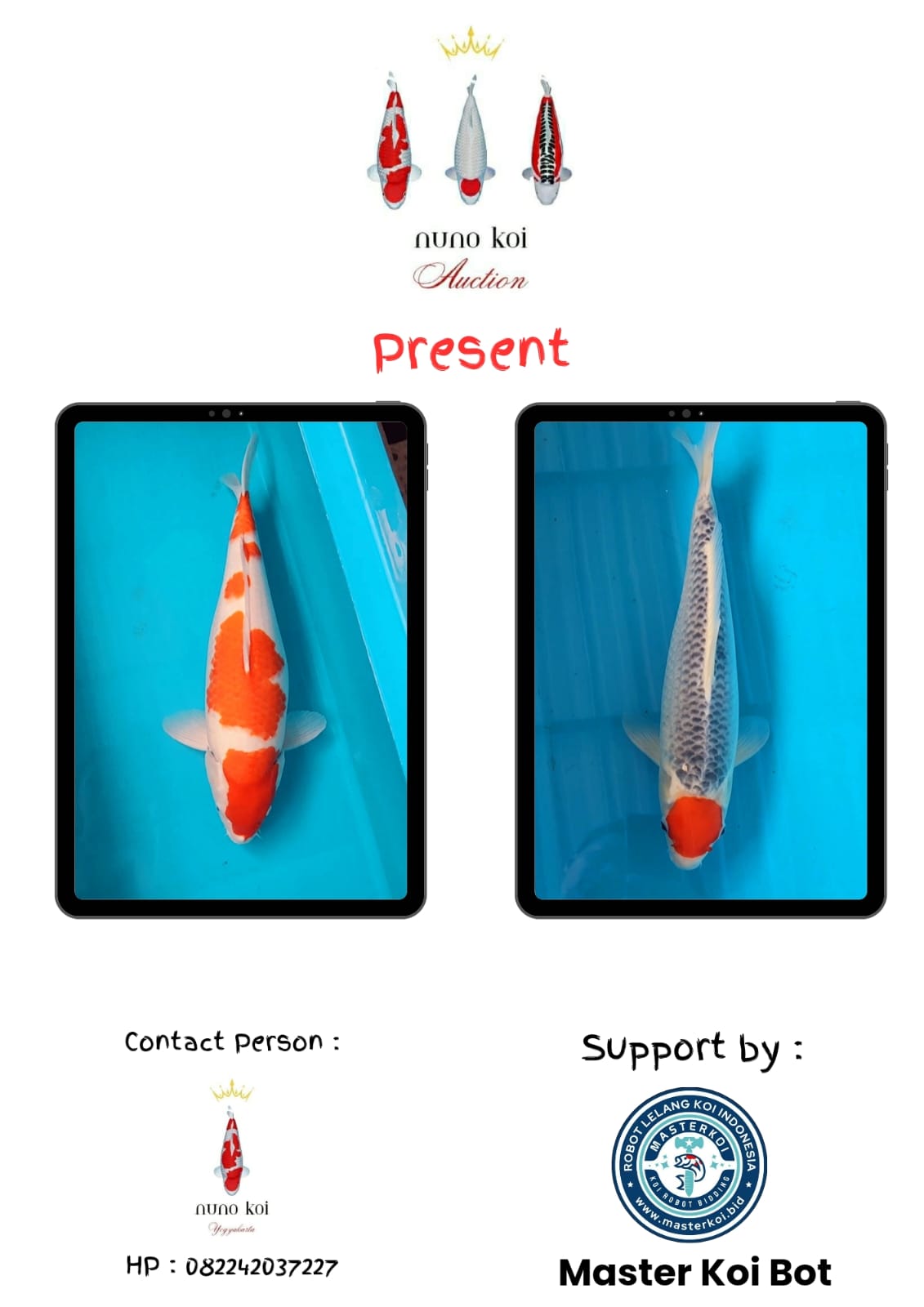 Lelang Koi Online, Jual Beli Ikan Koi, Pasar Koi Terbaik, Agen Lelang Koi, Penawaran Koi Berkualitas, Harga Jual Koi, Lelang Ikan Koi Import, Beli Koi Online, Jual Koi Murah, Koi Showroom, Penjual Koi Terpercaya, Lelang Koi Jakarta, Jual Koi Lokal, Koi Kualitas Unggul, Harga Terbaik Koi, Jual Koi Indukan, Lelang Ikan Hias Koi, Pasar Koi Indonesia, Beli Koi Berkualitas Tinggi, Koi Farm Terbesar, Jual Beli Koi Impor, Lelang Ikan Koi Kualitas Premium, Daftar Harga Koi Terbaru, Pusat Jual Beli Koi, Info Lelang Koi Hari Ini.