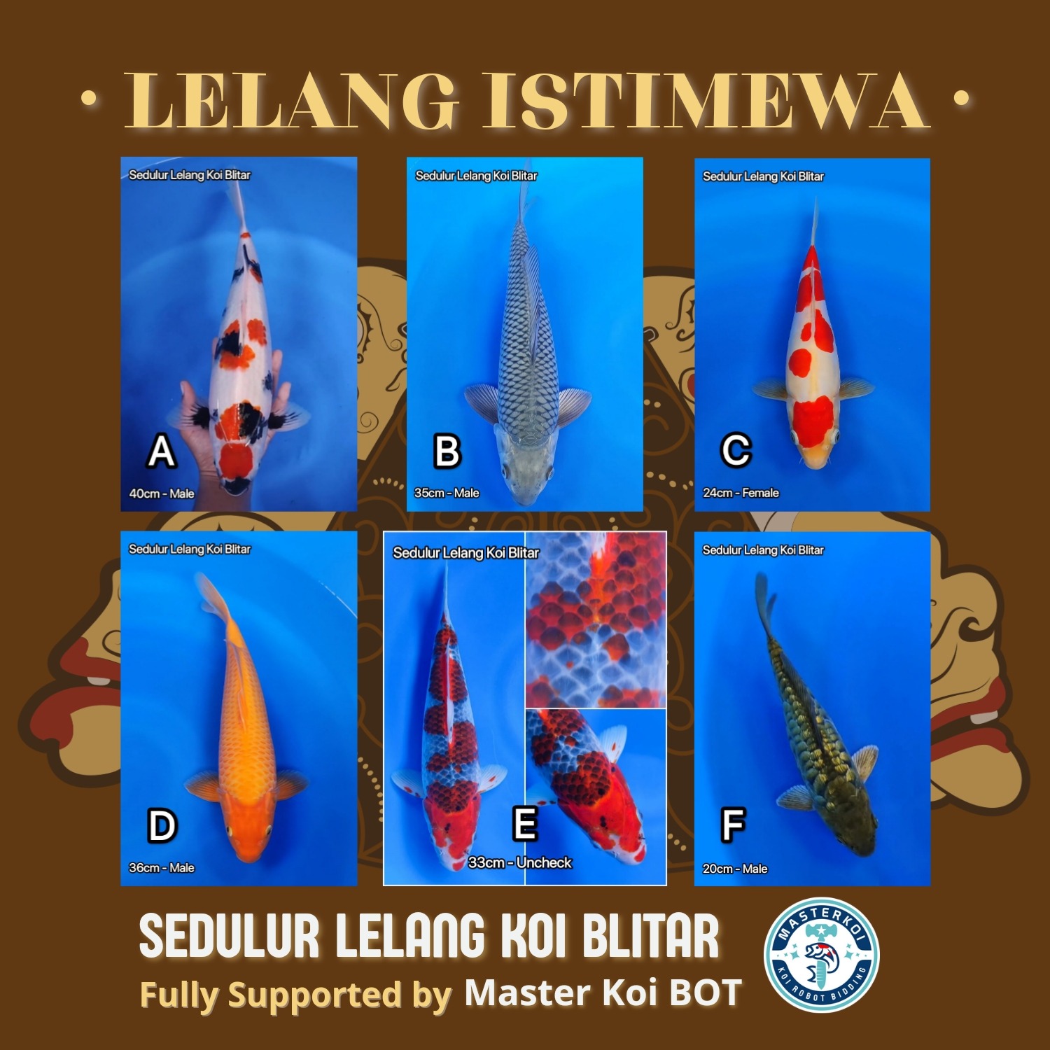 Lelang Koi Online, Jual Beli Ikan Koi, Pasar Koi Terbaik, Agen Lelang Koi, Penawaran Koi Berkualitas, Harga Jual Koi, Lelang Ikan Koi Import, Beli Koi Online, Jual Koi Murah, Koi Showroom, Penjual Koi Terpercaya, Lelang Koi Jakarta, Jual Koi Lokal, Koi Kualitas Unggul, Harga Terbaik Koi, Jual Koi Indukan, Lelang Ikan Hias Koi, Pasar Koi Indonesia, Beli Koi Berkualitas Tinggi, Koi Farm Terbesar, Jual Beli Koi Impor, Lelang Ikan Koi Kualitas Premium, Daftar Harga Koi Terbaru, Pusat Jual Beli Koi, Info Lelang Koi Hari Ini.