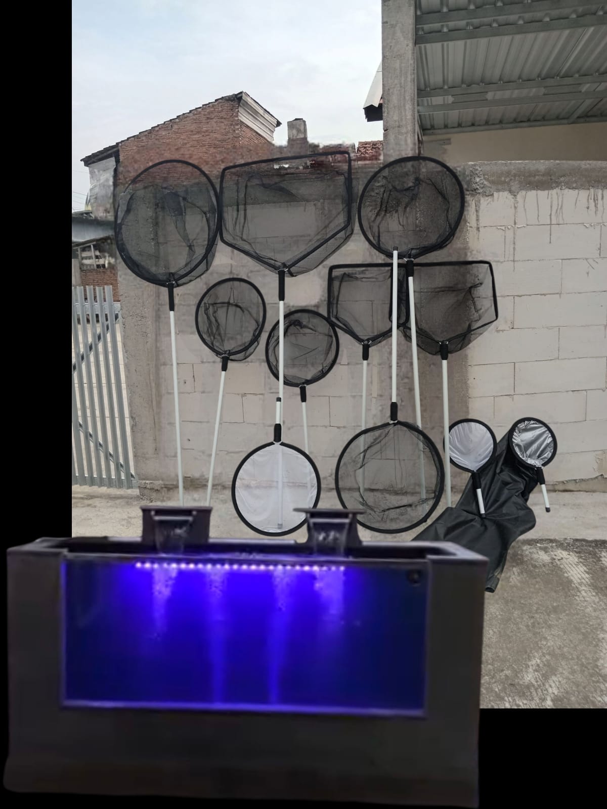 Lelang Koi Online, Jual Beli Ikan Koi, Pasar Koi Terbaik, Agen Lelang Koi, Penawaran Koi Berkualitas, Harga Jual Koi, Lelang Ikan Koi Import, Beli Koi Online, Jual Koi Murah, Koi Showroom, Penjual Koi Terpercaya, Lelang Koi Jakarta, Jual Koi Lokal, Koi Kualitas Unggul, Harga Terbaik Koi, Jual Koi Indukan, Lelang Ikan Hias Koi, Pasar Koi Indonesia, Beli Koi Berkualitas Tinggi, Koi Farm Terbesar, Jual Beli Koi Impor, Lelang Ikan Koi Kualitas Premium, Daftar Harga Koi Terbaru, Pusat Jual Beli Koi, Info Lelang Koi Hari Ini.