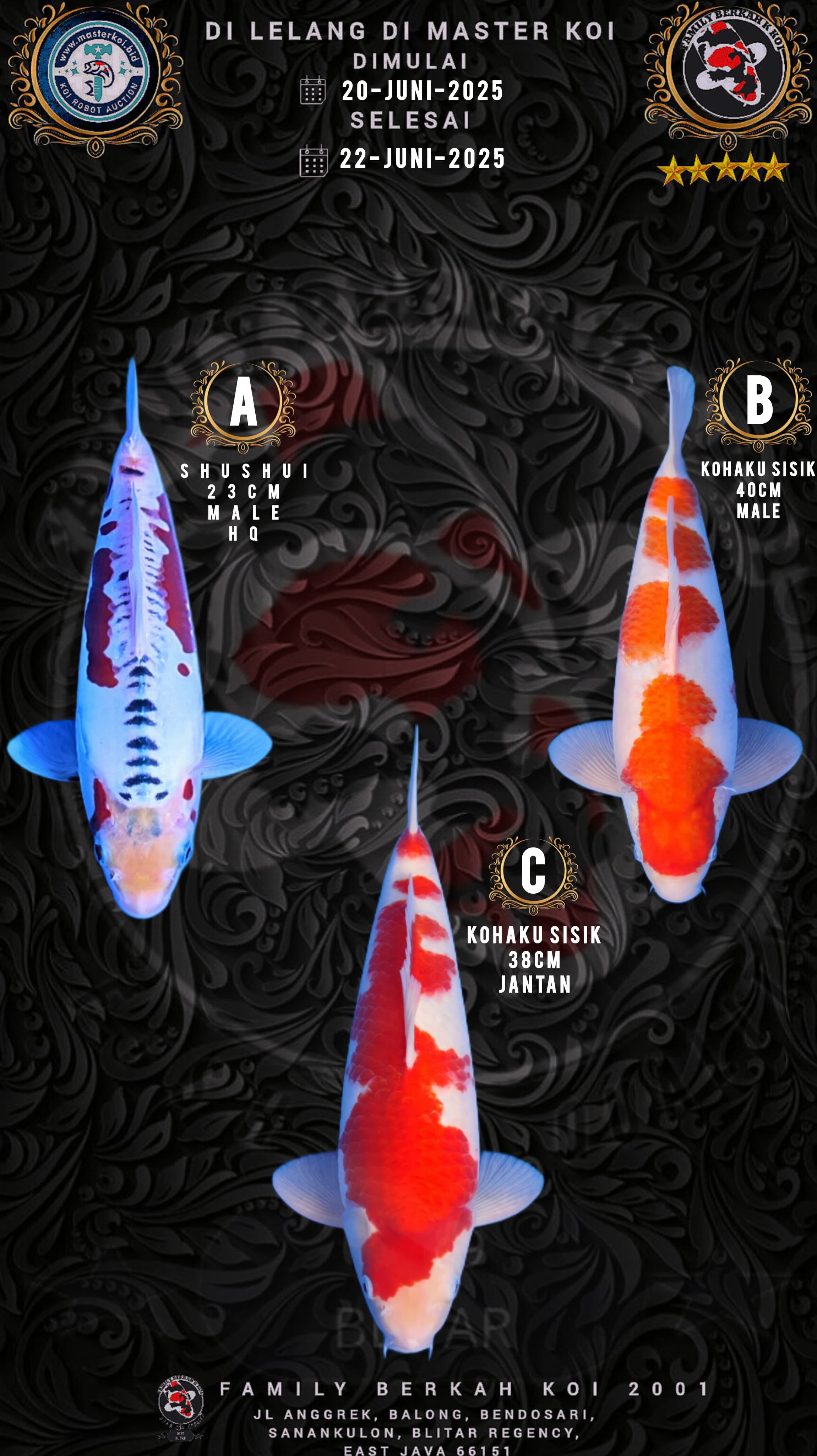 Lelang Koi Online, Jual Beli Ikan Koi, Pasar Koi Terbaik, Agen Lelang Koi, Penawaran Koi Berkualitas, Harga Jual Koi, Lelang Ikan Koi Import, Beli Koi Online, Jual Koi Murah, Koi Showroom, Penjual Koi Terpercaya, Lelang Koi Jakarta, Jual Koi Lokal, Koi Kualitas Unggul, Harga Terbaik Koi, Jual Koi Indukan, Lelang Ikan Hias Koi, Pasar Koi Indonesia, Beli Koi Berkualitas Tinggi, Koi Farm Terbesar, Jual Beli Koi Impor, Lelang Ikan Koi Kualitas Premium, Daftar Harga Koi Terbaru, Pusat Jual Beli Koi, Info Lelang Koi Hari Ini.