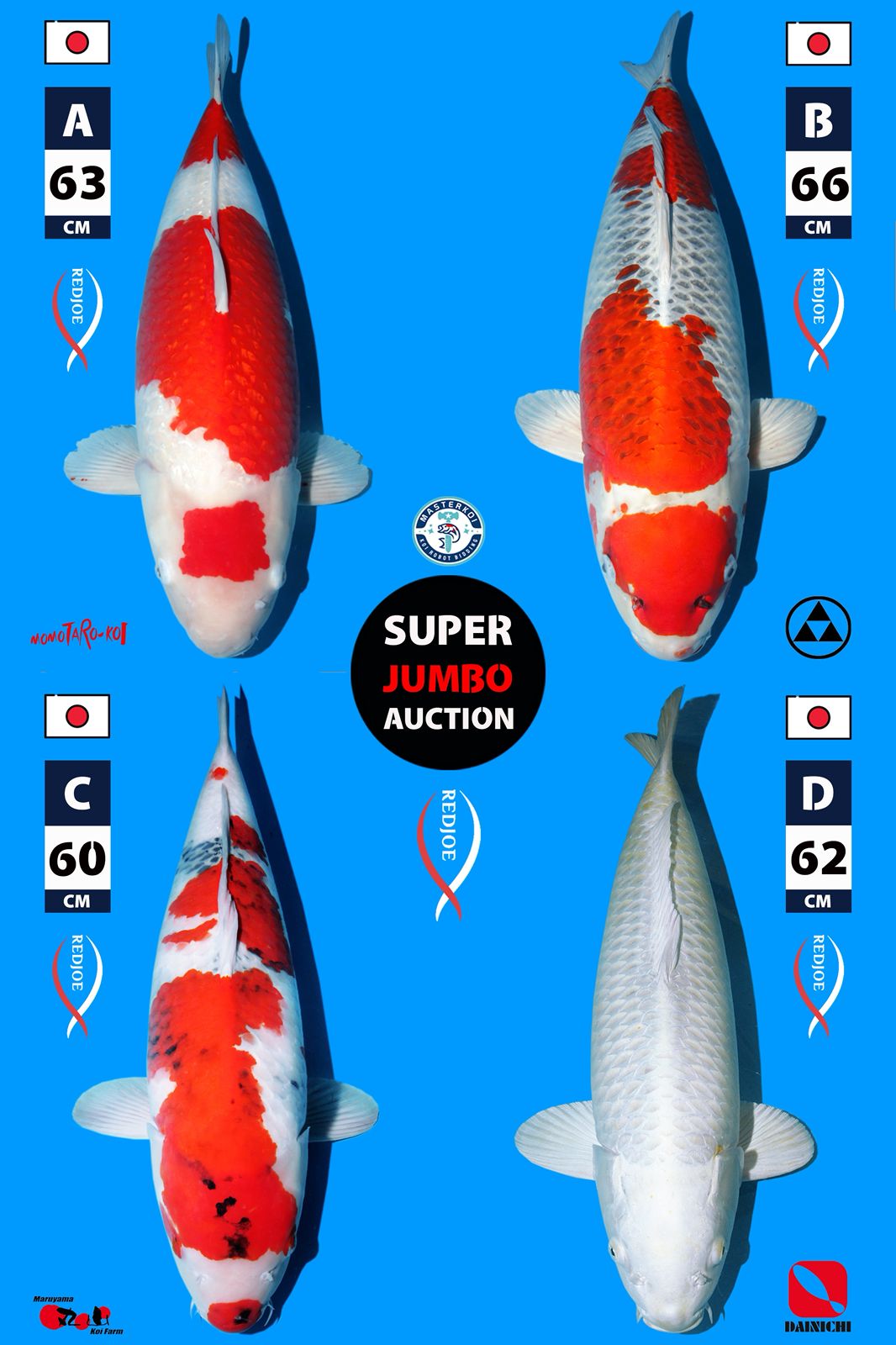 Lelang Koi Online, Jual Beli Ikan Koi, Pasar Koi Terbaik, Agen Lelang Koi, Penawaran Koi Berkualitas, Harga Jual Koi, Lelang Ikan Koi Import, Beli Koi Online, Jual Koi Murah, Koi Showroom, Penjual Koi Terpercaya, Lelang Koi Jakarta, Jual Koi Lokal, Koi Kualitas Unggul, Harga Terbaik Koi, Jual Koi Indukan, Lelang Ikan Hias Koi, Pasar Koi Indonesia, Beli Koi Berkualitas Tinggi, Koi Farm Terbesar, Jual Beli Koi Impor, Lelang Ikan Koi Kualitas Premium, Daftar Harga Koi Terbaru, Pusat Jual Beli Koi, Info Lelang Koi Hari Ini.