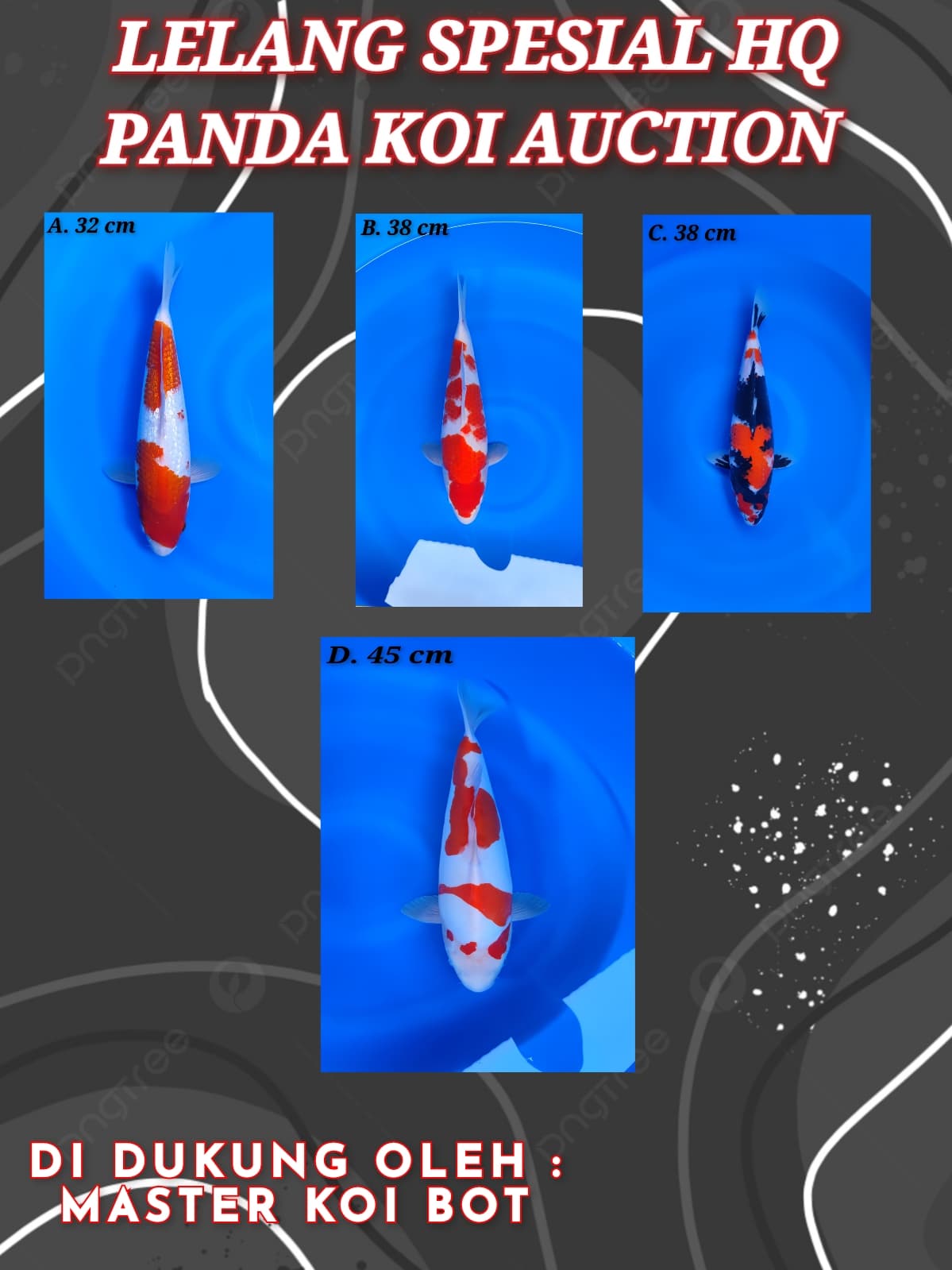 Lelang Koi Online, Jual Beli Ikan Koi, Pasar Koi Terbaik, Agen Lelang Koi, Penawaran Koi Berkualitas, Harga Jual Koi, Lelang Ikan Koi Import, Beli Koi Online, Jual Koi Murah, Koi Showroom, Penjual Koi Terpercaya, Lelang Koi Jakarta, Jual Koi Lokal, Koi Kualitas Unggul, Harga Terbaik Koi, Jual Koi Indukan, Lelang Ikan Hias Koi, Pasar Koi Indonesia, Beli Koi Berkualitas Tinggi, Koi Farm Terbesar, Jual Beli Koi Impor, Lelang Ikan Koi Kualitas Premium, Daftar Harga Koi Terbaru, Pusat Jual Beli Koi, Info Lelang Koi Hari Ini.