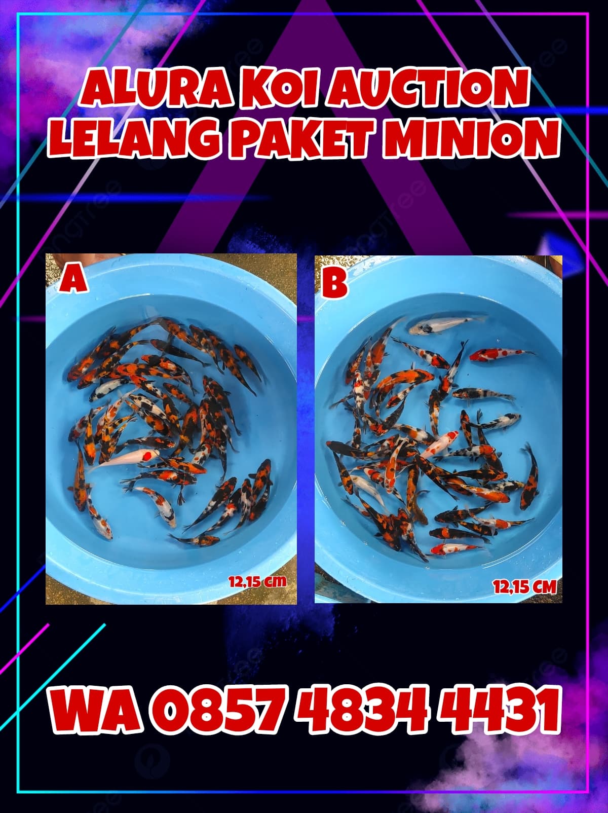 Lelang Koi Online, Jual Beli Ikan Koi, Pasar Koi Terbaik, Agen Lelang Koi, Penawaran Koi Berkualitas, Harga Jual Koi, Lelang Ikan Koi Import, Beli Koi Online, Jual Koi Murah, Koi Showroom, Penjual Koi Terpercaya, Lelang Koi Jakarta, Jual Koi Lokal, Koi Kualitas Unggul, Harga Terbaik Koi, Jual Koi Indukan, Lelang Ikan Hias Koi, Pasar Koi Indonesia, Beli Koi Berkualitas Tinggi, Koi Farm Terbesar, Jual Beli Koi Impor, Lelang Ikan Koi Kualitas Premium, Daftar Harga Koi Terbaru, Pusat Jual Beli Koi, Info Lelang Koi Hari Ini.