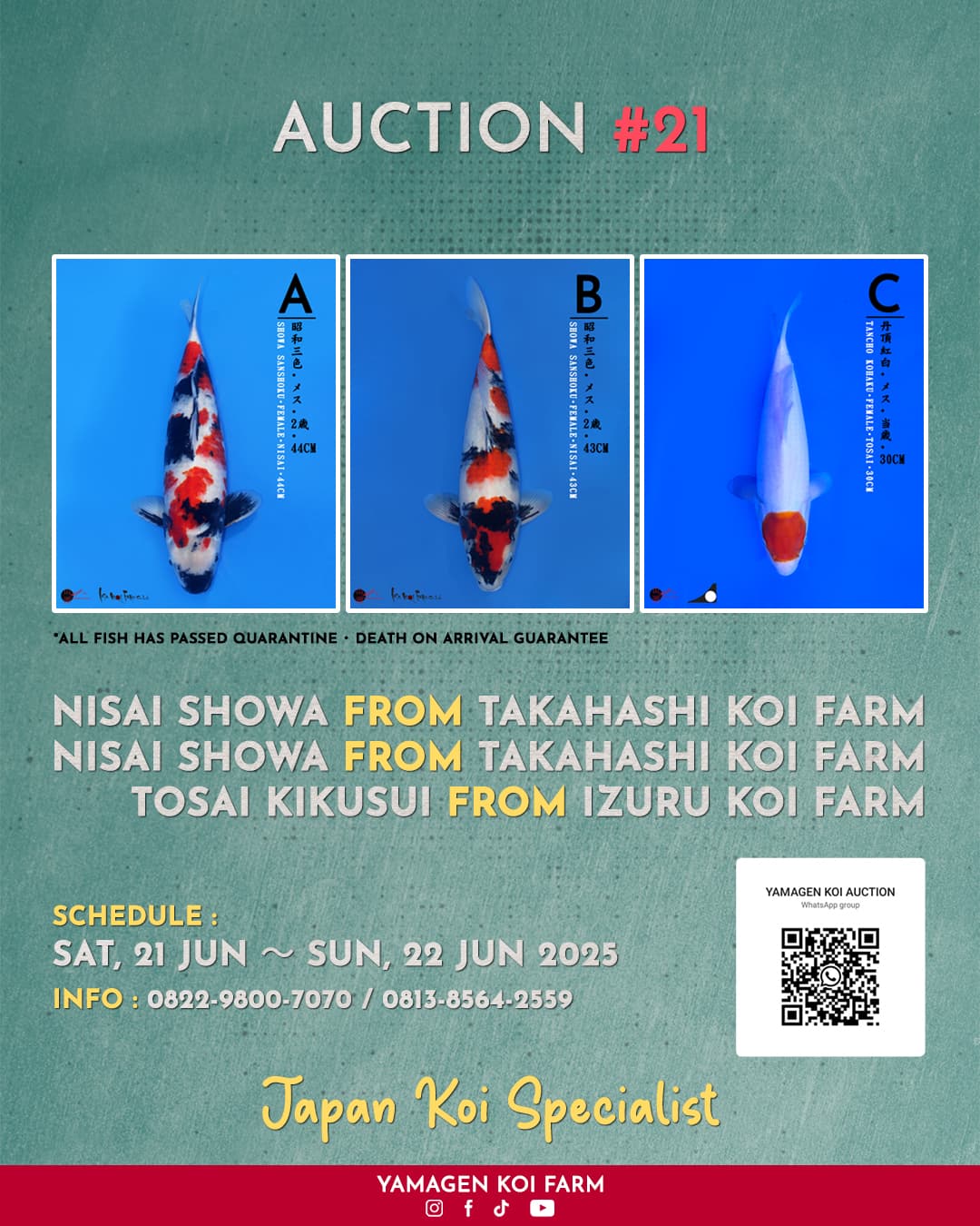Lelang Koi Online, Jual Beli Ikan Koi, Pasar Koi Terbaik, Agen Lelang Koi, Penawaran Koi Berkualitas, Harga Jual Koi, Lelang Ikan Koi Import, Beli Koi Online, Jual Koi Murah, Koi Showroom, Penjual Koi Terpercaya, Lelang Koi Jakarta, Jual Koi Lokal, Koi Kualitas Unggul, Harga Terbaik Koi, Jual Koi Indukan, Lelang Ikan Hias Koi, Pasar Koi Indonesia, Beli Koi Berkualitas Tinggi, Koi Farm Terbesar, Jual Beli Koi Impor, Lelang Ikan Koi Kualitas Premium, Daftar Harga Koi Terbaru, Pusat Jual Beli Koi, Info Lelang Koi Hari Ini.