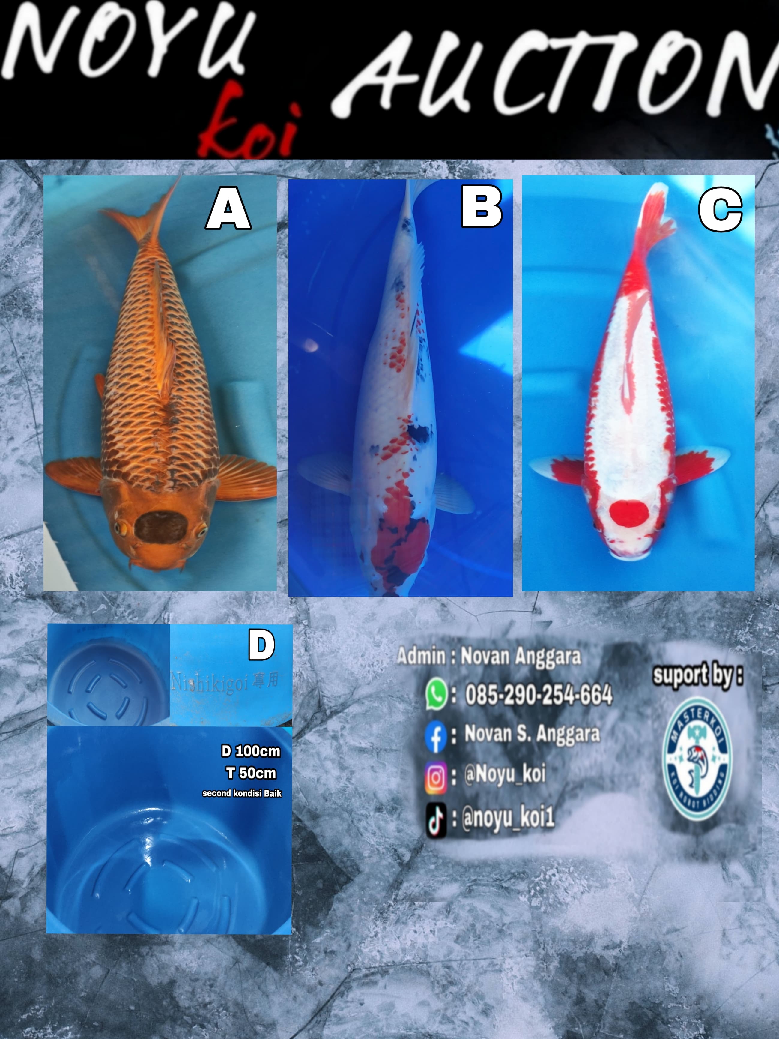 Lelang Koi Online, Jual Beli Ikan Koi, Pasar Koi Terbaik, Agen Lelang Koi, Penawaran Koi Berkualitas, Harga Jual Koi, Lelang Ikan Koi Import, Beli Koi Online, Jual Koi Murah, Koi Showroom, Penjual Koi Terpercaya, Lelang Koi Jakarta, Jual Koi Lokal, Koi Kualitas Unggul, Harga Terbaik Koi, Jual Koi Indukan, Lelang Ikan Hias Koi, Pasar Koi Indonesia, Beli Koi Berkualitas Tinggi, Koi Farm Terbesar, Jual Beli Koi Impor, Lelang Ikan Koi Kualitas Premium, Daftar Harga Koi Terbaru, Pusat Jual Beli Koi, Info Lelang Koi Hari Ini.