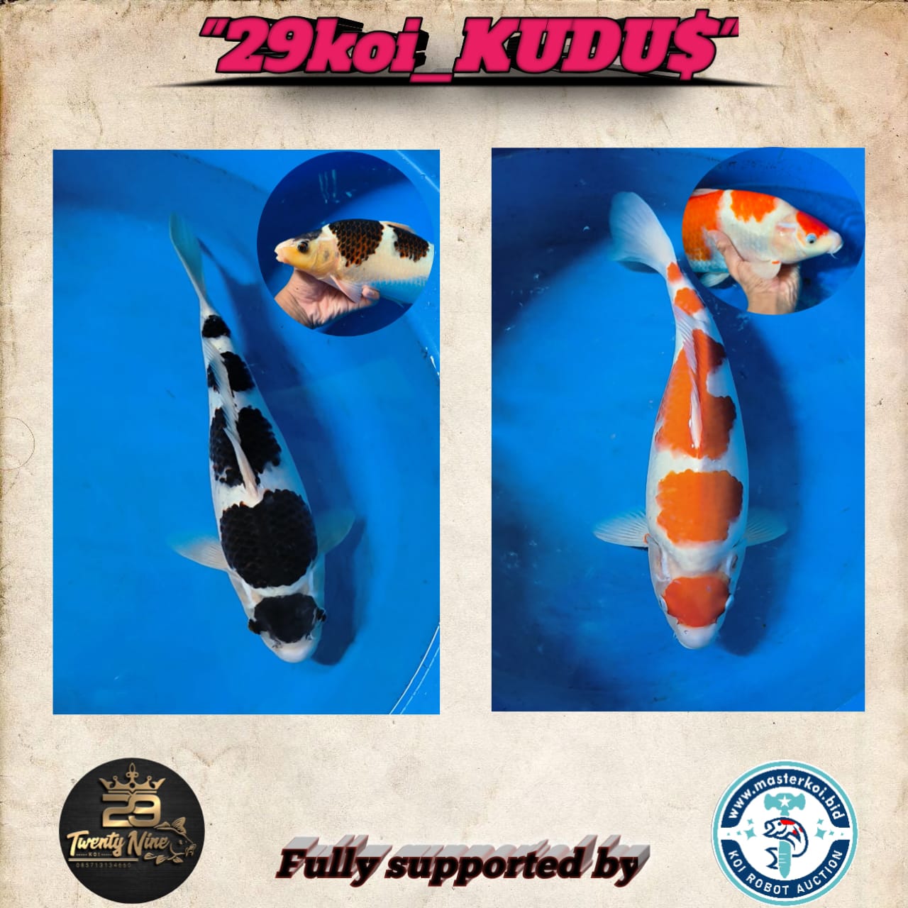 Lelang Koi Online, Jual Beli Ikan Koi, Pasar Koi Terbaik, Agen Lelang Koi, Penawaran Koi Berkualitas, Harga Jual Koi, Lelang Ikan Koi Import, Beli Koi Online, Jual Koi Murah, Koi Showroom, Penjual Koi Terpercaya, Lelang Koi Jakarta, Jual Koi Lokal, Koi Kualitas Unggul, Harga Terbaik Koi, Jual Koi Indukan, Lelang Ikan Hias Koi, Pasar Koi Indonesia, Beli Koi Berkualitas Tinggi, Koi Farm Terbesar, Jual Beli Koi Impor, Lelang Ikan Koi Kualitas Premium, Daftar Harga Koi Terbaru, Pusat Jual Beli Koi, Info Lelang Koi Hari Ini.