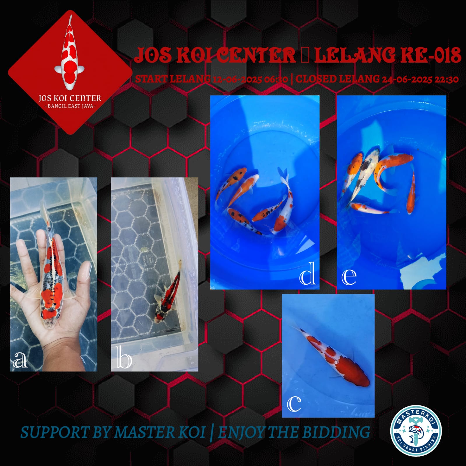 Lelang Koi Online, Jual Beli Ikan Koi, Pasar Koi Terbaik, Agen Lelang Koi, Penawaran Koi Berkualitas, Harga Jual Koi, Lelang Ikan Koi Import, Beli Koi Online, Jual Koi Murah, Koi Showroom, Penjual Koi Terpercaya, Lelang Koi Jakarta, Jual Koi Lokal, Koi Kualitas Unggul, Harga Terbaik Koi, Jual Koi Indukan, Lelang Ikan Hias Koi, Pasar Koi Indonesia, Beli Koi Berkualitas Tinggi, Koi Farm Terbesar, Jual Beli Koi Impor, Lelang Ikan Koi Kualitas Premium, Daftar Harga Koi Terbaru, Pusat Jual Beli Koi, Info Lelang Koi Hari Ini.