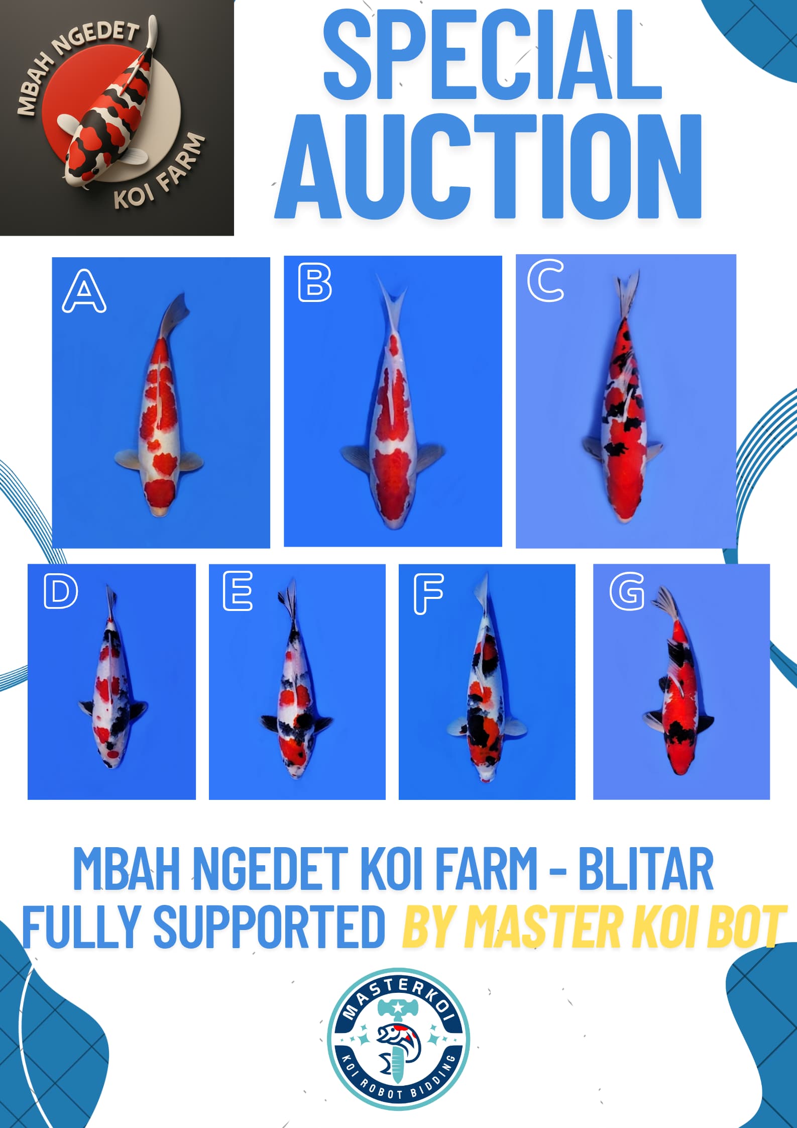 Lelang Koi Online, Jual Beli Ikan Koi, Pasar Koi Terbaik, Agen Lelang Koi, Penawaran Koi Berkualitas, Harga Jual Koi, Lelang Ikan Koi Import, Beli Koi Online, Jual Koi Murah, Koi Showroom, Penjual Koi Terpercaya, Lelang Koi Jakarta, Jual Koi Lokal, Koi Kualitas Unggul, Harga Terbaik Koi, Jual Koi Indukan, Lelang Ikan Hias Koi, Pasar Koi Indonesia, Beli Koi Berkualitas Tinggi, Koi Farm Terbesar, Jual Beli Koi Impor, Lelang Ikan Koi Kualitas Premium, Daftar Harga Koi Terbaru, Pusat Jual Beli Koi, Info Lelang Koi Hari Ini.