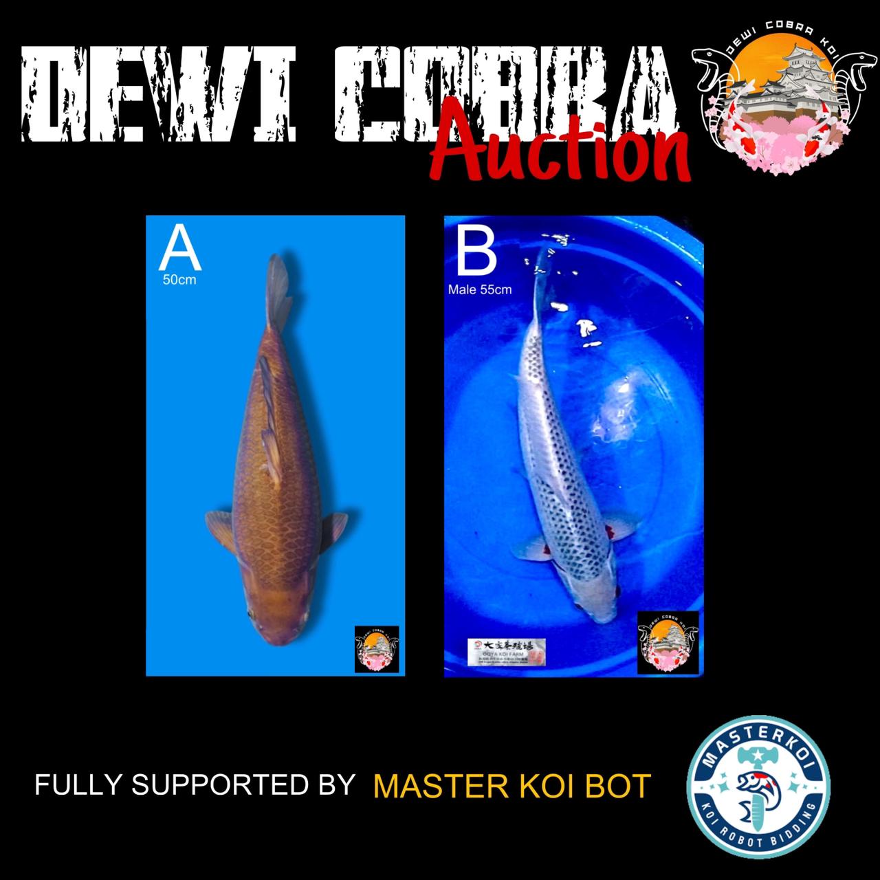 Lelang Koi Online, Jual Beli Ikan Koi, Pasar Koi Terbaik, Agen Lelang Koi, Penawaran Koi Berkualitas, Harga Jual Koi, Lelang Ikan Koi Import, Beli Koi Online, Jual Koi Murah, Koi Showroom, Penjual Koi Terpercaya, Lelang Koi Jakarta, Jual Koi Lokal, Koi Kualitas Unggul, Harga Terbaik Koi, Jual Koi Indukan, Lelang Ikan Hias Koi, Pasar Koi Indonesia, Beli Koi Berkualitas Tinggi, Koi Farm Terbesar, Jual Beli Koi Impor, Lelang Ikan Koi Kualitas Premium, Daftar Harga Koi Terbaru, Pusat Jual Beli Koi, Info Lelang Koi Hari Ini.
