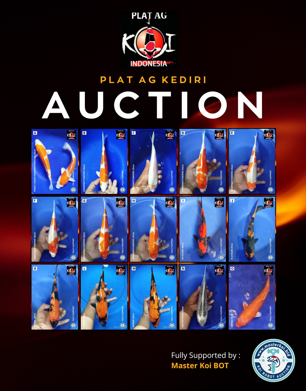 Lelang Koi Online, Jual Beli Ikan Koi, Pasar Koi Terbaik, Agen Lelang Koi, Penawaran Koi Berkualitas, Harga Jual Koi, Lelang Ikan Koi Import, Beli Koi Online, Jual Koi Murah, Koi Showroom, Penjual Koi Terpercaya, Lelang Koi Jakarta, Jual Koi Lokal, Koi Kualitas Unggul, Harga Terbaik Koi, Jual Koi Indukan, Lelang Ikan Hias Koi, Pasar Koi Indonesia, Beli Koi Berkualitas Tinggi, Koi Farm Terbesar, Jual Beli Koi Impor, Lelang Ikan Koi Kualitas Premium, Daftar Harga Koi Terbaru, Pusat Jual Beli Koi, Info Lelang Koi Hari Ini.