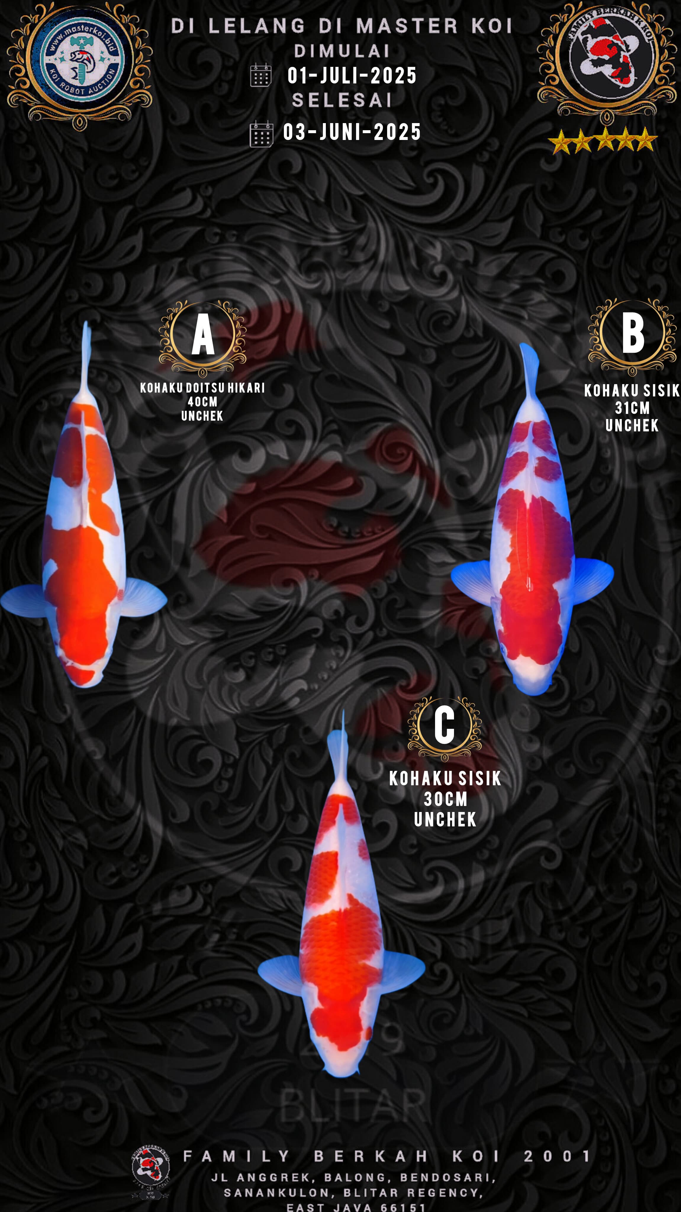 Lelang Koi Online, Jual Beli Ikan Koi, Pasar Koi Terbaik, Agen Lelang Koi, Penawaran Koi Berkualitas, Harga Jual Koi, Lelang Ikan Koi Import, Beli Koi Online, Jual Koi Murah, Koi Showroom, Penjual Koi Terpercaya, Lelang Koi Jakarta, Jual Koi Lokal, Koi Kualitas Unggul, Harga Terbaik Koi, Jual Koi Indukan, Lelang Ikan Hias Koi, Pasar Koi Indonesia, Beli Koi Berkualitas Tinggi, Koi Farm Terbesar, Jual Beli Koi Impor, Lelang Ikan Koi Kualitas Premium, Daftar Harga Koi Terbaru, Pusat Jual Beli Koi, Info Lelang Koi Hari Ini.