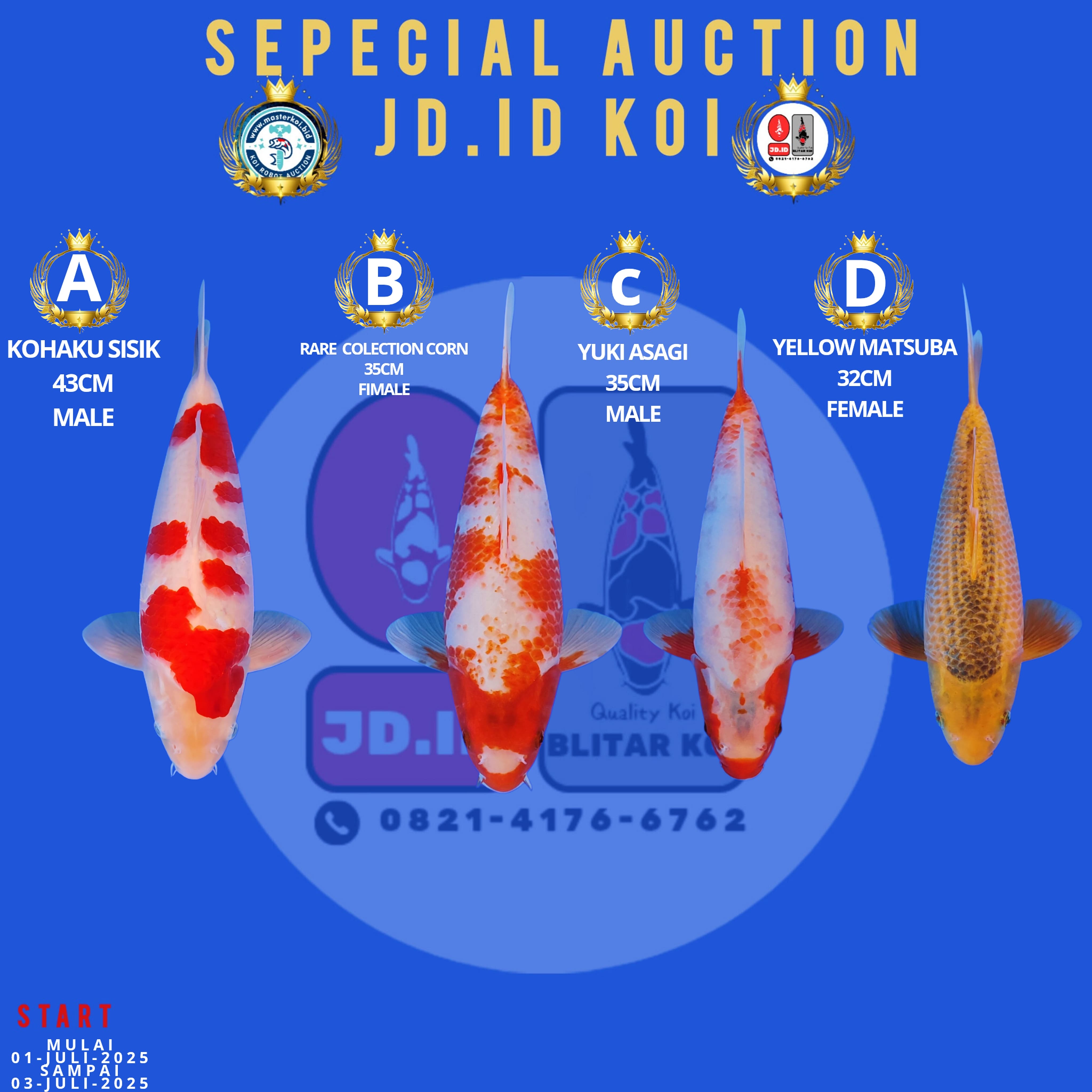 Lelang Koi Online, Jual Beli Ikan Koi, Pasar Koi Terbaik, Agen Lelang Koi, Penawaran Koi Berkualitas, Harga Jual Koi, Lelang Ikan Koi Import, Beli Koi Online, Jual Koi Murah, Koi Showroom, Penjual Koi Terpercaya, Lelang Koi Jakarta, Jual Koi Lokal, Koi Kualitas Unggul, Harga Terbaik Koi, Jual Koi Indukan, Lelang Ikan Hias Koi, Pasar Koi Indonesia, Beli Koi Berkualitas Tinggi, Koi Farm Terbesar, Jual Beli Koi Impor, Lelang Ikan Koi Kualitas Premium, Daftar Harga Koi Terbaru, Pusat Jual Beli Koi, Info Lelang Koi Hari Ini.