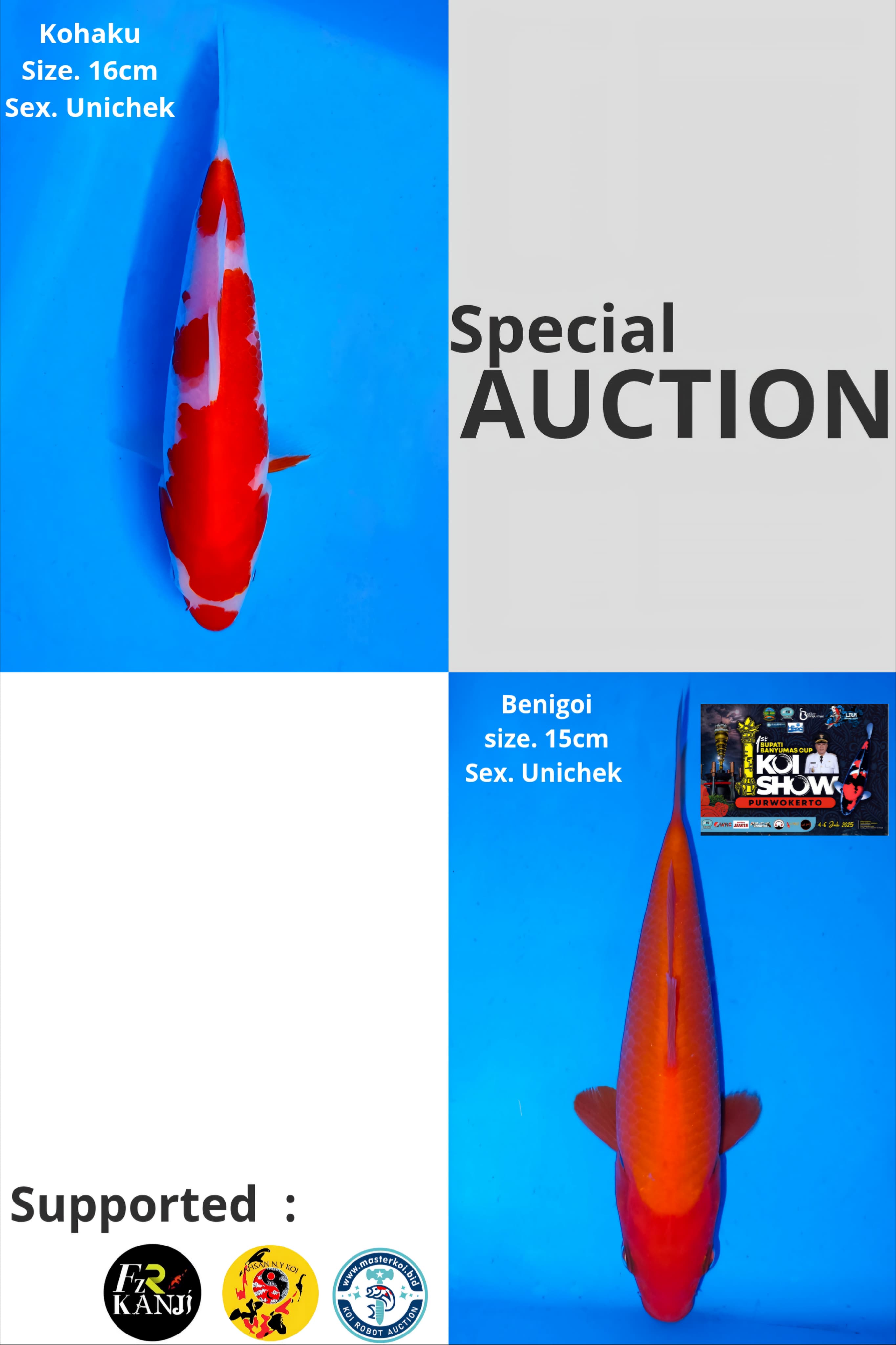 Lelang Koi Online, Jual Beli Ikan Koi, Pasar Koi Terbaik, Agen Lelang Koi, Penawaran Koi Berkualitas, Harga Jual Koi, Lelang Ikan Koi Import, Beli Koi Online, Jual Koi Murah, Koi Showroom, Penjual Koi Terpercaya, Lelang Koi Jakarta, Jual Koi Lokal, Koi Kualitas Unggul, Harga Terbaik Koi, Jual Koi Indukan, Lelang Ikan Hias Koi, Pasar Koi Indonesia, Beli Koi Berkualitas Tinggi, Koi Farm Terbesar, Jual Beli Koi Impor, Lelang Ikan Koi Kualitas Premium, Daftar Harga Koi Terbaru, Pusat Jual Beli Koi, Info Lelang Koi Hari Ini.