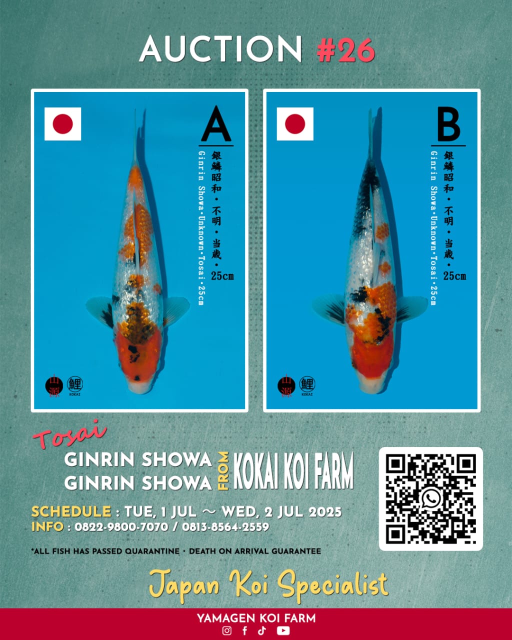 Lelang Koi Online, Jual Beli Ikan Koi, Pasar Koi Terbaik, Agen Lelang Koi, Penawaran Koi Berkualitas, Harga Jual Koi, Lelang Ikan Koi Import, Beli Koi Online, Jual Koi Murah, Koi Showroom, Penjual Koi Terpercaya, Lelang Koi Jakarta, Jual Koi Lokal, Koi Kualitas Unggul, Harga Terbaik Koi, Jual Koi Indukan, Lelang Ikan Hias Koi, Pasar Koi Indonesia, Beli Koi Berkualitas Tinggi, Koi Farm Terbesar, Jual Beli Koi Impor, Lelang Ikan Koi Kualitas Premium, Daftar Harga Koi Terbaru, Pusat Jual Beli Koi, Info Lelang Koi Hari Ini.