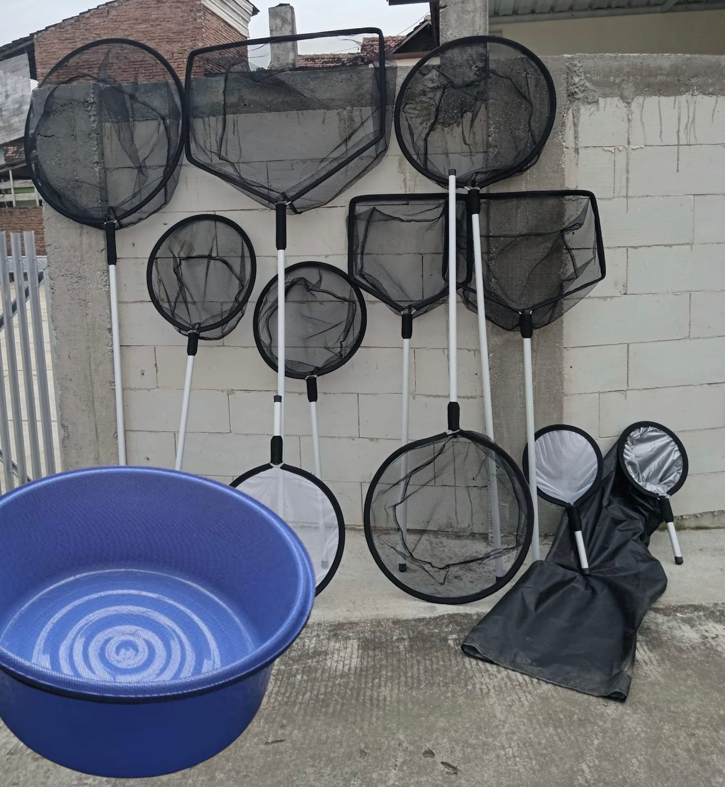 Lelang Koi Online, Jual Beli Ikan Koi, Pasar Koi Terbaik, Agen Lelang Koi, Penawaran Koi Berkualitas, Harga Jual Koi, Lelang Ikan Koi Import, Beli Koi Online, Jual Koi Murah, Koi Showroom, Penjual Koi Terpercaya, Lelang Koi Jakarta, Jual Koi Lokal, Koi Kualitas Unggul, Harga Terbaik Koi, Jual Koi Indukan, Lelang Ikan Hias Koi, Pasar Koi Indonesia, Beli Koi Berkualitas Tinggi, Koi Farm Terbesar, Jual Beli Koi Impor, Lelang Ikan Koi Kualitas Premium, Daftar Harga Koi Terbaru, Pusat Jual Beli Koi, Info Lelang Koi Hari Ini.