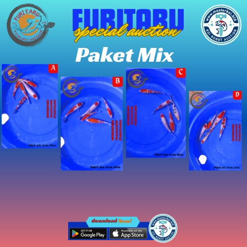 Lelang Koi Online, Jual Beli Ikan Koi, Pasar Koi Terbaik, Agen Lelang Koi, Penawaran Koi Berkualitas, Harga Jual Koi, Lelang Ikan Koi Import, Beli Koi Online, Jual Koi Murah, Koi Showroom, Penjual Koi Terpercaya, Lelang Koi Jakarta, Jual Koi Lokal, Koi Kualitas Unggul, Harga Terbaik Koi, Jual Koi Indukan, Lelang Ikan Hias Koi, Pasar Koi Indonesia, Beli Koi Berkualitas Tinggi, Koi Farm Terbesar, Jual Beli Koi Impor, Lelang Ikan Koi Kualitas Premium, Daftar Harga Koi Terbaru, Pusat Jual Beli Koi, Info Lelang Koi Hari Ini.