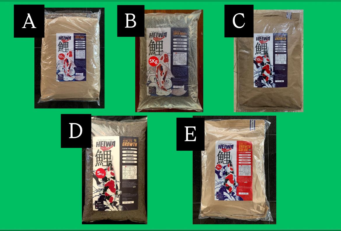 Lelang Koi Online, Jual Beli Ikan Koi, Pasar Koi Terbaik, Agen Lelang Koi, Penawaran Koi Berkualitas, Harga Jual Koi, Lelang Ikan Koi Import, Beli Koi Online, Jual Koi Murah, Koi Showroom, Penjual Koi Terpercaya, Lelang Koi Jakarta, Jual Koi Lokal, Koi Kualitas Unggul, Harga Terbaik Koi, Jual Koi Indukan, Lelang Ikan Hias Koi, Pasar Koi Indonesia, Beli Koi Berkualitas Tinggi, Koi Farm Terbesar, Jual Beli Koi Impor, Lelang Ikan Koi Kualitas Premium, Daftar Harga Koi Terbaru, Pusat Jual Beli Koi, Info Lelang Koi Hari Ini.
