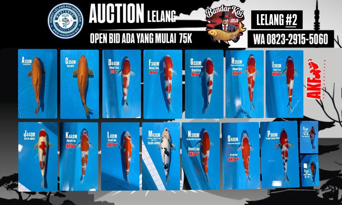 Lelang Koi Online, Jual Beli Ikan Koi, Pasar Koi Terbaik, Agen Lelang Koi, Penawaran Koi Berkualitas, Harga Jual Koi, Lelang Ikan Koi Import, Beli Koi Online, Jual Koi Murah, Koi Showroom, Penjual Koi Terpercaya, Lelang Koi Jakarta, Jual Koi Lokal, Koi Kualitas Unggul, Harga Terbaik Koi, Jual Koi Indukan, Lelang Ikan Hias Koi, Pasar Koi Indonesia, Beli Koi Berkualitas Tinggi, Koi Farm Terbesar, Jual Beli Koi Impor, Lelang Ikan Koi Kualitas Premium, Daftar Harga Koi Terbaru, Pusat Jual Beli Koi, Info Lelang Koi Hari Ini.