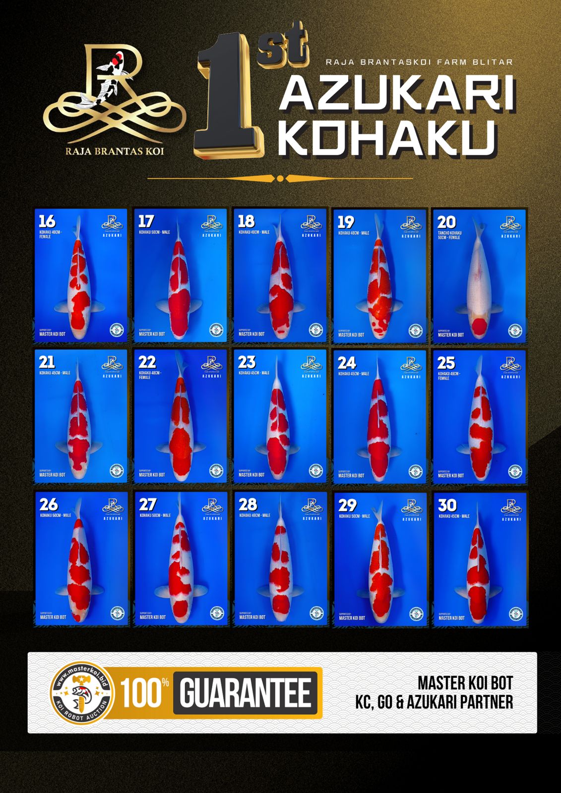 Lelang Koi Online, Jual Beli Ikan Koi, Pasar Koi Terbaik, Agen Lelang Koi, Penawaran Koi Berkualitas, Harga Jual Koi, Lelang Ikan Koi Import, Beli Koi Online, Jual Koi Murah, Koi Showroom, Penjual Koi Terpercaya, Lelang Koi Jakarta, Jual Koi Lokal, Koi Kualitas Unggul, Harga Terbaik Koi, Jual Koi Indukan, Lelang Ikan Hias Koi, Pasar Koi Indonesia, Beli Koi Berkualitas Tinggi, Koi Farm Terbesar, Jual Beli Koi Impor, Lelang Ikan Koi Kualitas Premium, Daftar Harga Koi Terbaru, Pusat Jual Beli Koi, Info Lelang Koi Hari Ini.