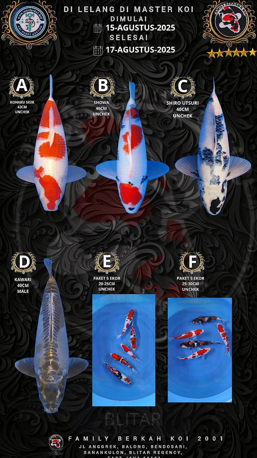 Lelang Koi Online, Jual Beli Ikan Koi, Pasar Koi Terbaik, Agen Lelang Koi, Penawaran Koi Berkualitas, Harga Jual Koi, Lelang Ikan Koi Import, Beli Koi Online, Jual Koi Murah, Koi Showroom, Penjual Koi Terpercaya, Lelang Koi Jakarta, Jual Koi Lokal, Koi Kualitas Unggul, Harga Terbaik Koi, Jual Koi Indukan, Lelang Ikan Hias Koi, Pasar Koi Indonesia, Beli Koi Berkualitas Tinggi, Koi Farm Terbesar, Jual Beli Koi Impor, Lelang Ikan Koi Kualitas Premium, Daftar Harga Koi Terbaru, Pusat Jual Beli Koi, Info Lelang Koi Hari Ini.