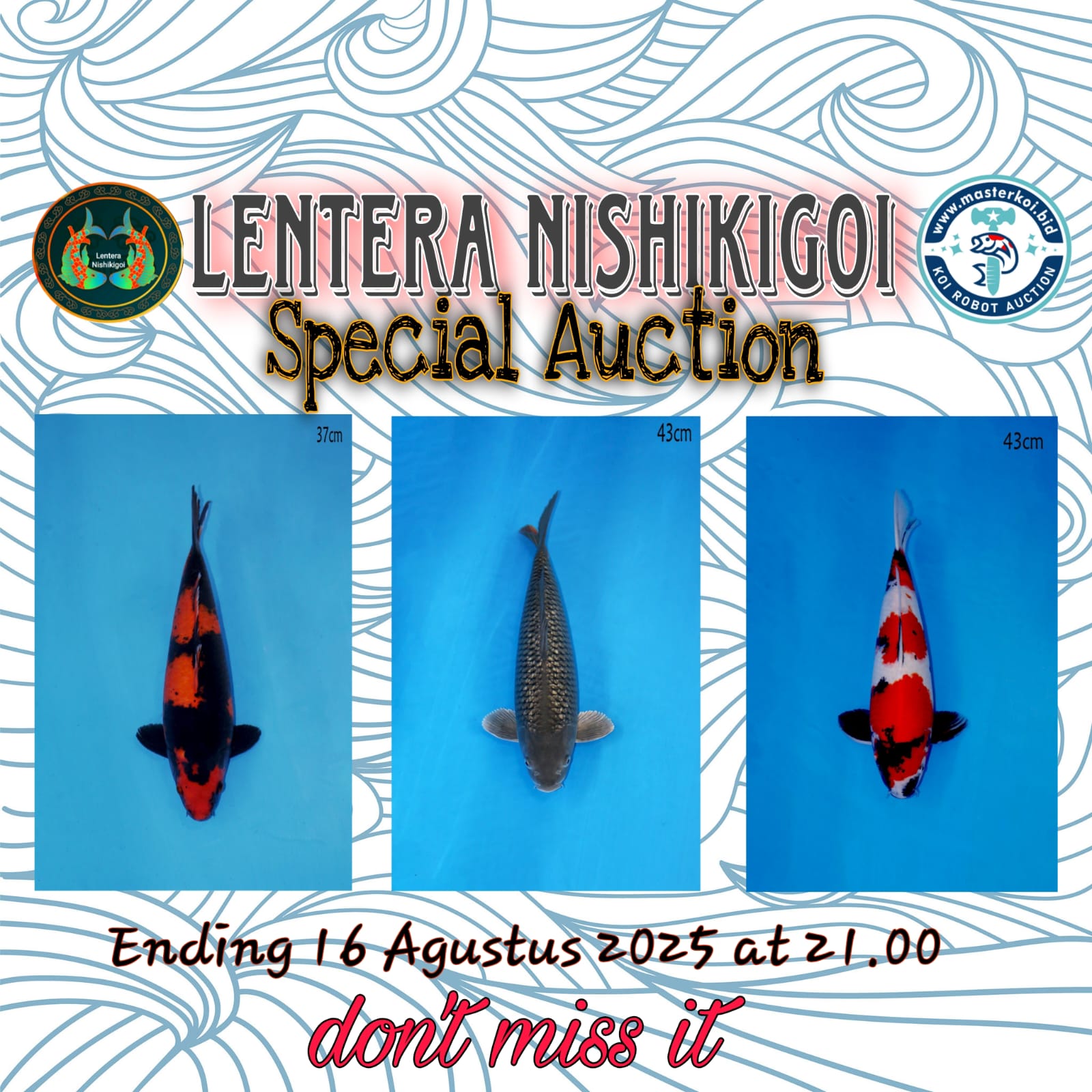 Lelang Koi Online, Jual Beli Ikan Koi, Pasar Koi Terbaik, Agen Lelang Koi, Penawaran Koi Berkualitas, Harga Jual Koi, Lelang Ikan Koi Import, Beli Koi Online, Jual Koi Murah, Koi Showroom, Penjual Koi Terpercaya, Lelang Koi Jakarta, Jual Koi Lokal, Koi Kualitas Unggul, Harga Terbaik Koi, Jual Koi Indukan, Lelang Ikan Hias Koi, Pasar Koi Indonesia, Beli Koi Berkualitas Tinggi, Koi Farm Terbesar, Jual Beli Koi Impor, Lelang Ikan Koi Kualitas Premium, Daftar Harga Koi Terbaru, Pusat Jual Beli Koi, Info Lelang Koi Hari Ini.
