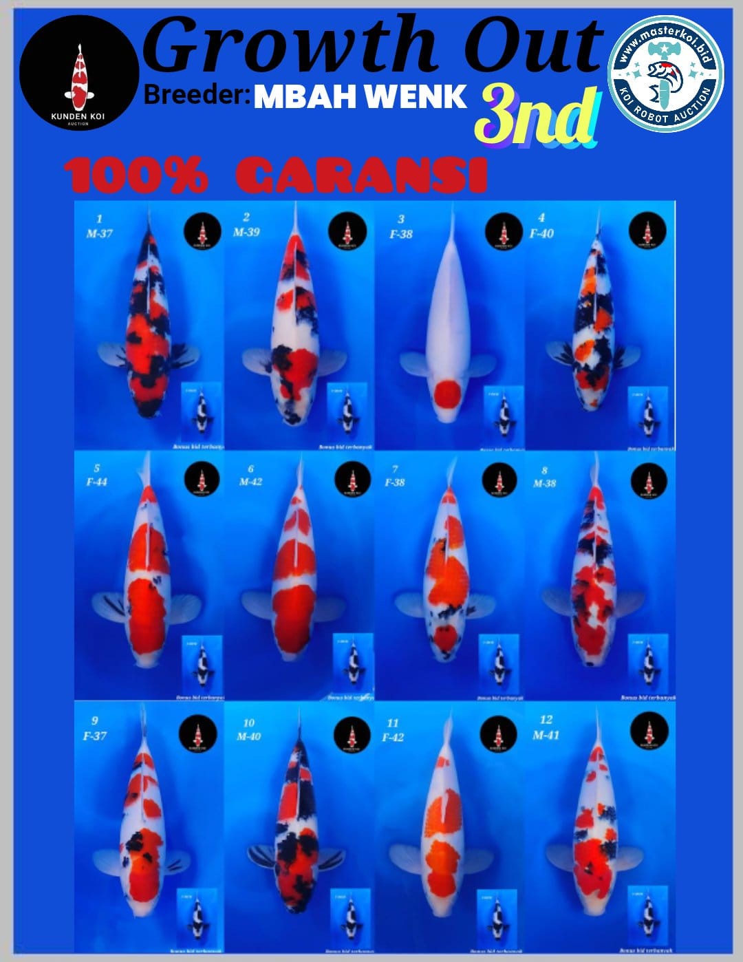 Lelang Koi Online, Jual Beli Ikan Koi, Pasar Koi Terbaik, Agen Lelang Koi, Penawaran Koi Berkualitas, Harga Jual Koi, Lelang Ikan Koi Import, Beli Koi Online, Jual Koi Murah, Koi Showroom, Penjual Koi Terpercaya, Lelang Koi Jakarta, Jual Koi Lokal, Koi Kualitas Unggul, Harga Terbaik Koi, Jual Koi Indukan, Lelang Ikan Hias Koi, Pasar Koi Indonesia, Beli Koi Berkualitas Tinggi, Koi Farm Terbesar, Jual Beli Koi Impor, Lelang Ikan Koi Kualitas Premium, Daftar Harga Koi Terbaru, Pusat Jual Beli Koi, Info Lelang Koi Hari Ini.