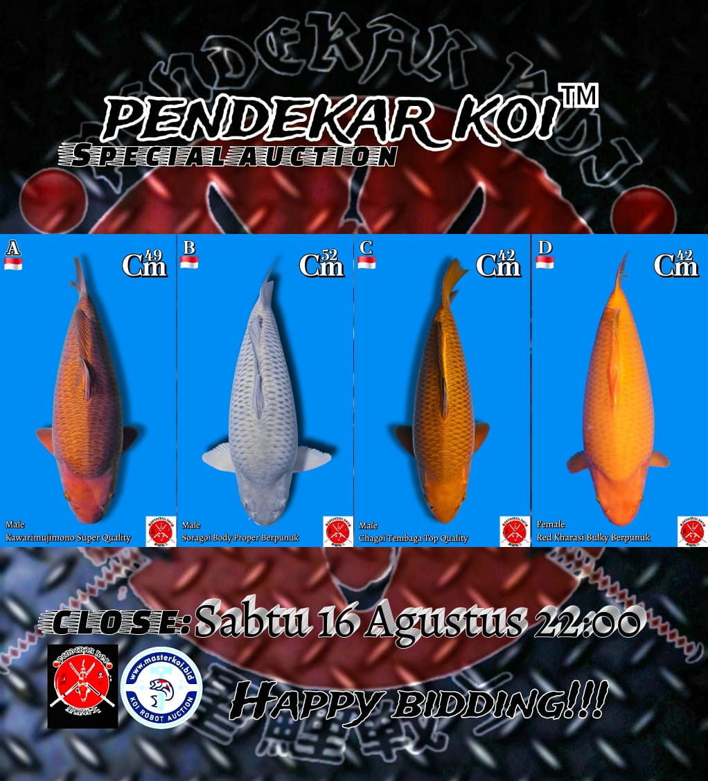 Lelang Koi Online, Jual Beli Ikan Koi, Pasar Koi Terbaik, Agen Lelang Koi, Penawaran Koi Berkualitas, Harga Jual Koi, Lelang Ikan Koi Import, Beli Koi Online, Jual Koi Murah, Koi Showroom, Penjual Koi Terpercaya, Lelang Koi Jakarta, Jual Koi Lokal, Koi Kualitas Unggul, Harga Terbaik Koi, Jual Koi Indukan, Lelang Ikan Hias Koi, Pasar Koi Indonesia, Beli Koi Berkualitas Tinggi, Koi Farm Terbesar, Jual Beli Koi Impor, Lelang Ikan Koi Kualitas Premium, Daftar Harga Koi Terbaru, Pusat Jual Beli Koi, Info Lelang Koi Hari Ini.
