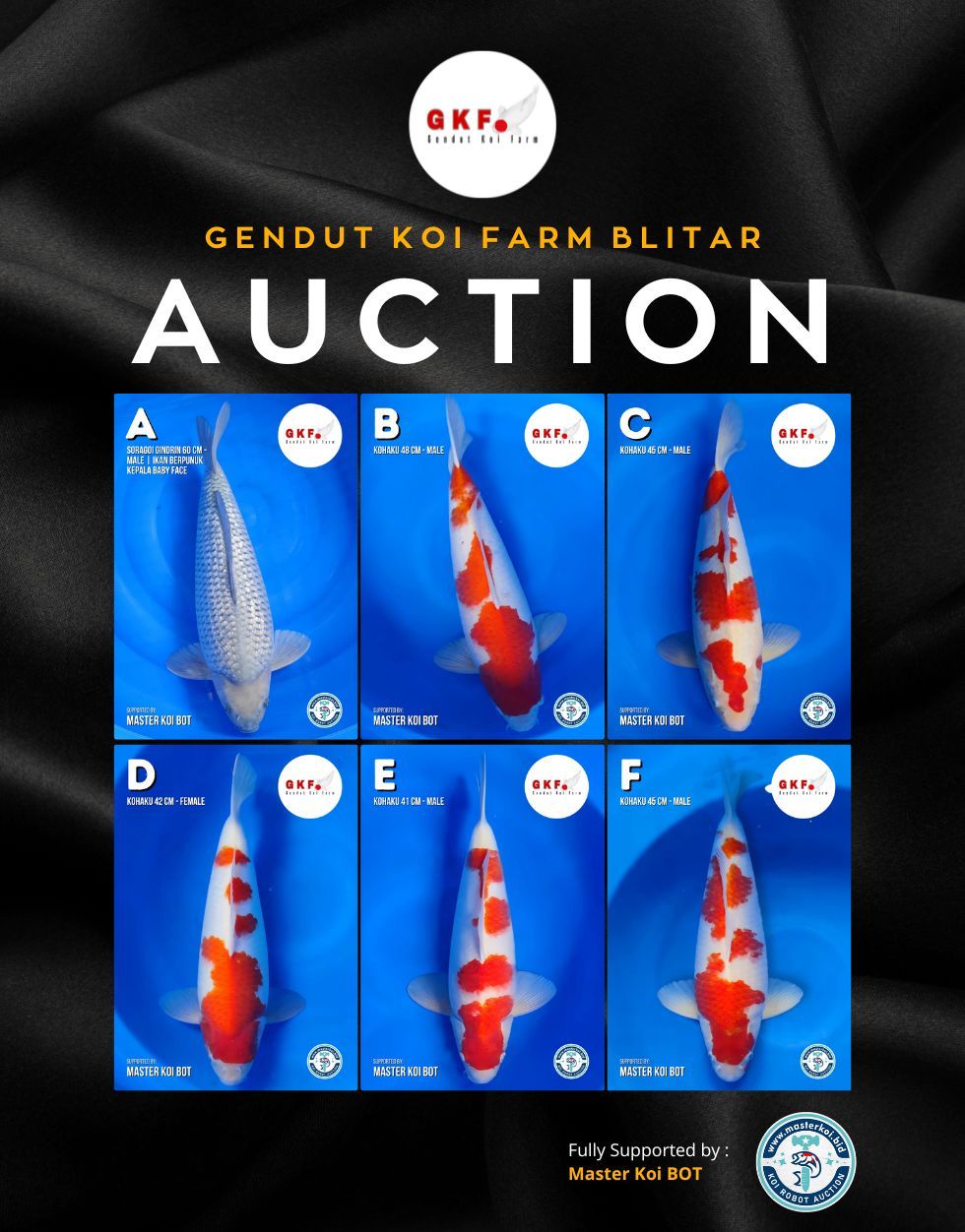 Lelang Koi Online, Jual Beli Ikan Koi, Pasar Koi Terbaik, Agen Lelang Koi, Penawaran Koi Berkualitas, Harga Jual Koi, Lelang Ikan Koi Import, Beli Koi Online, Jual Koi Murah, Koi Showroom, Penjual Koi Terpercaya, Lelang Koi Jakarta, Jual Koi Lokal, Koi Kualitas Unggul, Harga Terbaik Koi, Jual Koi Indukan, Lelang Ikan Hias Koi, Pasar Koi Indonesia, Beli Koi Berkualitas Tinggi, Koi Farm Terbesar, Jual Beli Koi Impor, Lelang Ikan Koi Kualitas Premium, Daftar Harga Koi Terbaru, Pusat Jual Beli Koi, Info Lelang Koi Hari Ini.