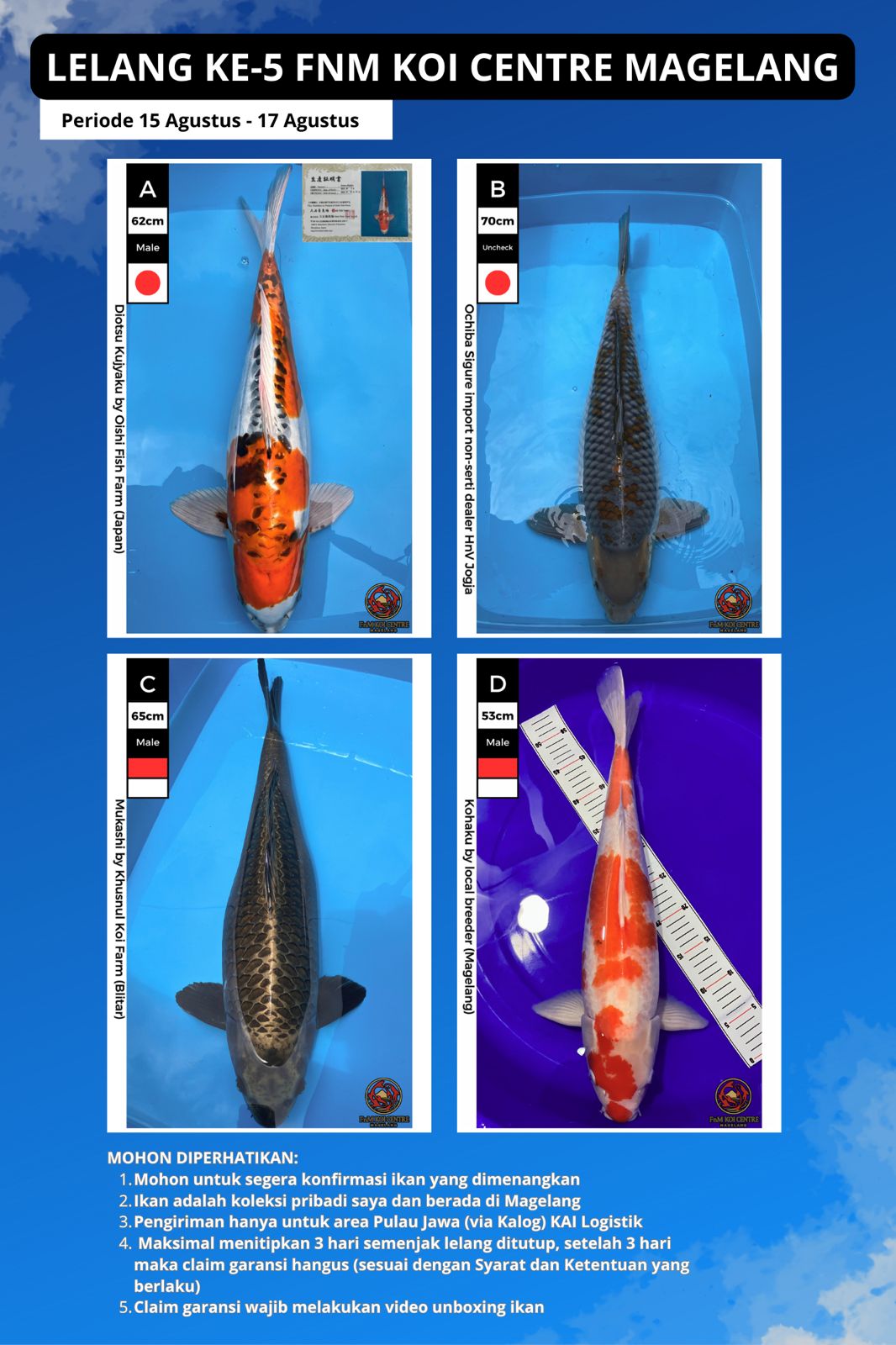 Lelang Koi Online, Jual Beli Ikan Koi, Pasar Koi Terbaik, Agen Lelang Koi, Penawaran Koi Berkualitas, Harga Jual Koi, Lelang Ikan Koi Import, Beli Koi Online, Jual Koi Murah, Koi Showroom, Penjual Koi Terpercaya, Lelang Koi Jakarta, Jual Koi Lokal, Koi Kualitas Unggul, Harga Terbaik Koi, Jual Koi Indukan, Lelang Ikan Hias Koi, Pasar Koi Indonesia, Beli Koi Berkualitas Tinggi, Koi Farm Terbesar, Jual Beli Koi Impor, Lelang Ikan Koi Kualitas Premium, Daftar Harga Koi Terbaru, Pusat Jual Beli Koi, Info Lelang Koi Hari Ini.
