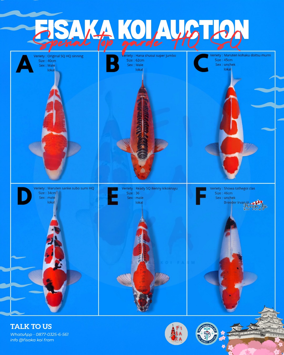 Lelang Koi Online, Jual Beli Ikan Koi, Pasar Koi Terbaik, Agen Lelang Koi, Penawaran Koi Berkualitas, Harga Jual Koi, Lelang Ikan Koi Import, Beli Koi Online, Jual Koi Murah, Koi Showroom, Penjual Koi Terpercaya, Lelang Koi Jakarta, Jual Koi Lokal, Koi Kualitas Unggul, Harga Terbaik Koi, Jual Koi Indukan, Lelang Ikan Hias Koi, Pasar Koi Indonesia, Beli Koi Berkualitas Tinggi, Koi Farm Terbesar, Jual Beli Koi Impor, Lelang Ikan Koi Kualitas Premium, Daftar Harga Koi Terbaru, Pusat Jual Beli Koi, Info Lelang Koi Hari Ini.