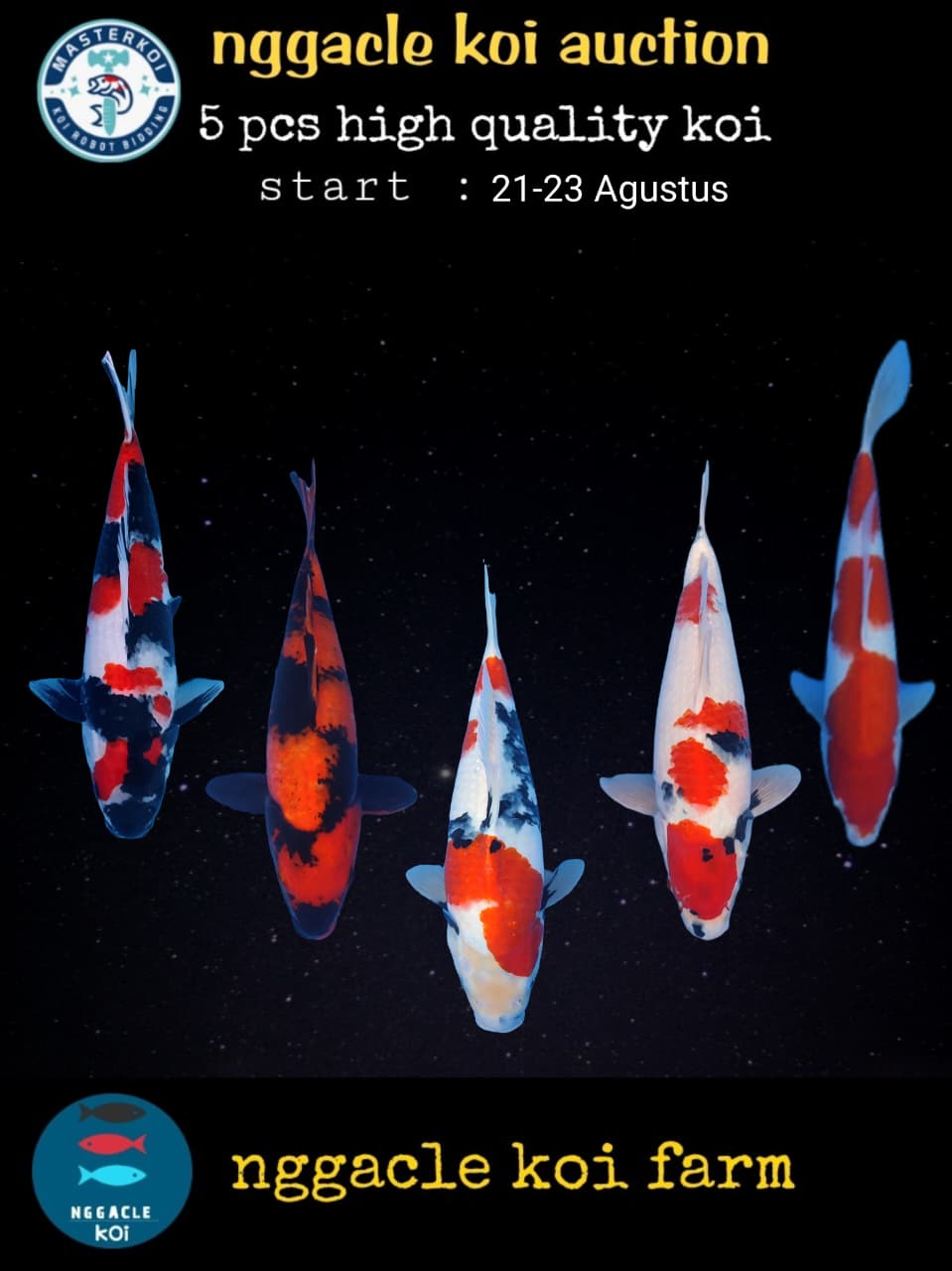 Lelang Koi Online, Jual Beli Ikan Koi, Pasar Koi Terbaik, Agen Lelang Koi, Penawaran Koi Berkualitas, Harga Jual Koi, Lelang Ikan Koi Import, Beli Koi Online, Jual Koi Murah, Koi Showroom, Penjual Koi Terpercaya, Lelang Koi Jakarta, Jual Koi Lokal, Koi Kualitas Unggul, Harga Terbaik Koi, Jual Koi Indukan, Lelang Ikan Hias Koi, Pasar Koi Indonesia, Beli Koi Berkualitas Tinggi, Koi Farm Terbesar, Jual Beli Koi Impor, Lelang Ikan Koi Kualitas Premium, Daftar Harga Koi Terbaru, Pusat Jual Beli Koi, Info Lelang Koi Hari Ini.