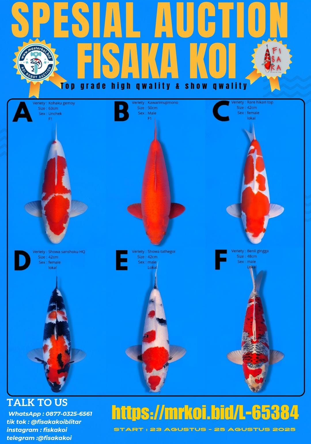 Lelang Koi Online, Jual Beli Ikan Koi, Pasar Koi Terbaik, Agen Lelang Koi, Penawaran Koi Berkualitas, Harga Jual Koi, Lelang Ikan Koi Import, Beli Koi Online, Jual Koi Murah, Koi Showroom, Penjual Koi Terpercaya, Lelang Koi Jakarta, Jual Koi Lokal, Koi Kualitas Unggul, Harga Terbaik Koi, Jual Koi Indukan, Lelang Ikan Hias Koi, Pasar Koi Indonesia, Beli Koi Berkualitas Tinggi, Koi Farm Terbesar, Jual Beli Koi Impor, Lelang Ikan Koi Kualitas Premium, Daftar Harga Koi Terbaru, Pusat Jual Beli Koi, Info Lelang Koi Hari Ini.