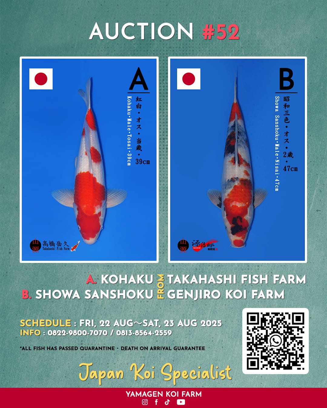 Lelang Koi Online, Jual Beli Ikan Koi, Pasar Koi Terbaik, Agen Lelang Koi, Penawaran Koi Berkualitas, Harga Jual Koi, Lelang Ikan Koi Import, Beli Koi Online, Jual Koi Murah, Koi Showroom, Penjual Koi Terpercaya, Lelang Koi Jakarta, Jual Koi Lokal, Koi Kualitas Unggul, Harga Terbaik Koi, Jual Koi Indukan, Lelang Ikan Hias Koi, Pasar Koi Indonesia, Beli Koi Berkualitas Tinggi, Koi Farm Terbesar, Jual Beli Koi Impor, Lelang Ikan Koi Kualitas Premium, Daftar Harga Koi Terbaru, Pusat Jual Beli Koi, Info Lelang Koi Hari Ini.