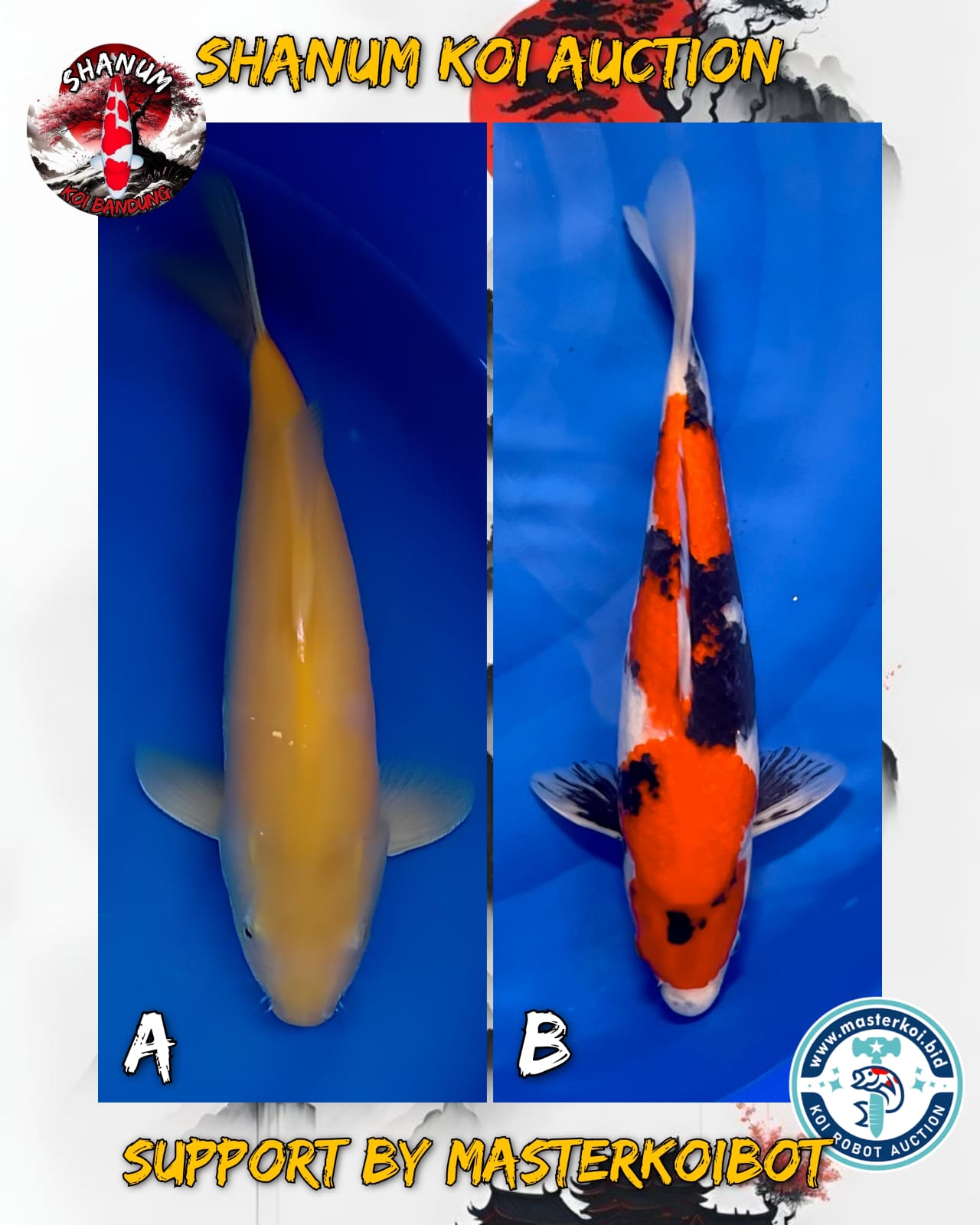 Lelang Koi Online, Jual Beli Ikan Koi, Pasar Koi Terbaik, Agen Lelang Koi, Penawaran Koi Berkualitas, Harga Jual Koi, Lelang Ikan Koi Import, Beli Koi Online, Jual Koi Murah, Koi Showroom, Penjual Koi Terpercaya, Lelang Koi Jakarta, Jual Koi Lokal, Koi Kualitas Unggul, Harga Terbaik Koi, Jual Koi Indukan, Lelang Ikan Hias Koi, Pasar Koi Indonesia, Beli Koi Berkualitas Tinggi, Koi Farm Terbesar, Jual Beli Koi Impor, Lelang Ikan Koi Kualitas Premium, Daftar Harga Koi Terbaru, Pusat Jual Beli Koi, Info Lelang Koi Hari Ini.