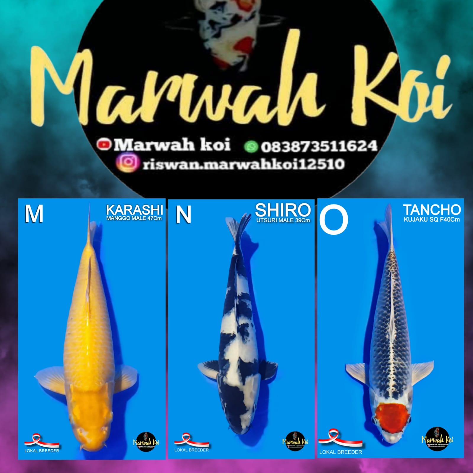 Lelang Koi Online, Jual Beli Ikan Koi, Pasar Koi Terbaik, Agen Lelang Koi, Penawaran Koi Berkualitas, Harga Jual Koi, Lelang Ikan Koi Import, Beli Koi Online, Jual Koi Murah, Koi Showroom, Penjual Koi Terpercaya, Lelang Koi Jakarta, Jual Koi Lokal, Koi Kualitas Unggul, Harga Terbaik Koi, Jual Koi Indukan, Lelang Ikan Hias Koi, Pasar Koi Indonesia, Beli Koi Berkualitas Tinggi, Koi Farm Terbesar, Jual Beli Koi Impor, Lelang Ikan Koi Kualitas Premium, Daftar Harga Koi Terbaru, Pusat Jual Beli Koi, Info Lelang Koi Hari Ini.