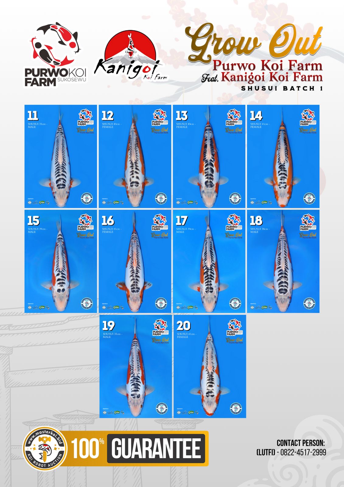 Lelang Koi Online, Jual Beli Ikan Koi, Pasar Koi Terbaik, Agen Lelang Koi, Penawaran Koi Berkualitas, Harga Jual Koi, Lelang Ikan Koi Import, Beli Koi Online, Jual Koi Murah, Koi Showroom, Penjual Koi Terpercaya, Lelang Koi Jakarta, Jual Koi Lokal, Koi Kualitas Unggul, Harga Terbaik Koi, Jual Koi Indukan, Lelang Ikan Hias Koi, Pasar Koi Indonesia, Beli Koi Berkualitas Tinggi, Koi Farm Terbesar, Jual Beli Koi Impor, Lelang Ikan Koi Kualitas Premium, Daftar Harga Koi Terbaru, Pusat Jual Beli Koi, Info Lelang Koi Hari Ini.