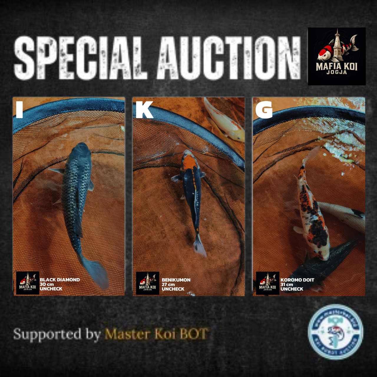 Lelang Koi Online, Jual Beli Ikan Koi, Pasar Koi Terbaik, Agen Lelang Koi, Penawaran Koi Berkualitas, Harga Jual Koi, Lelang Ikan Koi Import, Beli Koi Online, Jual Koi Murah, Koi Showroom, Penjual Koi Terpercaya, Lelang Koi Jakarta, Jual Koi Lokal, Koi Kualitas Unggul, Harga Terbaik Koi, Jual Koi Indukan, Lelang Ikan Hias Koi, Pasar Koi Indonesia, Beli Koi Berkualitas Tinggi, Koi Farm Terbesar, Jual Beli Koi Impor, Lelang Ikan Koi Kualitas Premium, Daftar Harga Koi Terbaru, Pusat Jual Beli Koi, Info Lelang Koi Hari Ini.