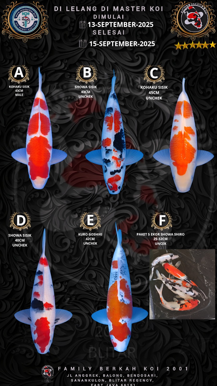 Lelang Koi Online, Jual Beli Ikan Koi, Pasar Koi Terbaik, Agen Lelang Koi, Penawaran Koi Berkualitas, Harga Jual Koi, Lelang Ikan Koi Import, Beli Koi Online, Jual Koi Murah, Koi Showroom, Penjual Koi Terpercaya, Lelang Koi Jakarta, Jual Koi Lokal, Koi Kualitas Unggul, Harga Terbaik Koi, Jual Koi Indukan, Lelang Ikan Hias Koi, Pasar Koi Indonesia, Beli Koi Berkualitas Tinggi, Koi Farm Terbesar, Jual Beli Koi Impor, Lelang Ikan Koi Kualitas Premium, Daftar Harga Koi Terbaru, Pusat Jual Beli Koi, Info Lelang Koi Hari Ini.