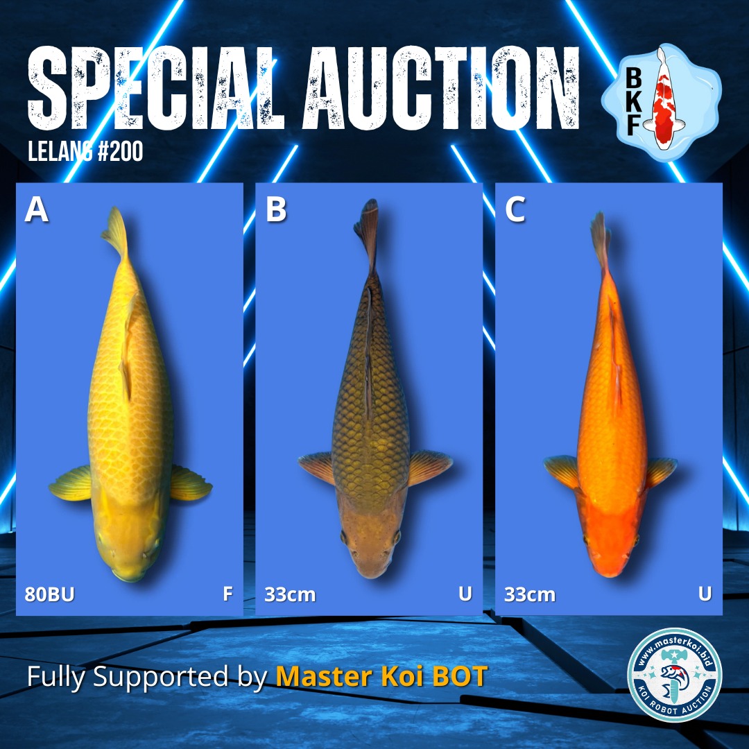 Lelang Koi Online, Jual Beli Ikan Koi, Pasar Koi Terbaik, Agen Lelang Koi, Penawaran Koi Berkualitas, Harga Jual Koi, Lelang Ikan Koi Import, Beli Koi Online, Jual Koi Murah, Koi Showroom, Penjual Koi Terpercaya, Lelang Koi Jakarta, Jual Koi Lokal, Koi Kualitas Unggul, Harga Terbaik Koi, Jual Koi Indukan, Lelang Ikan Hias Koi, Pasar Koi Indonesia, Beli Koi Berkualitas Tinggi, Koi Farm Terbesar, Jual Beli Koi Impor, Lelang Ikan Koi Kualitas Premium, Daftar Harga Koi Terbaru, Pusat Jual Beli Koi, Info Lelang Koi Hari Ini.