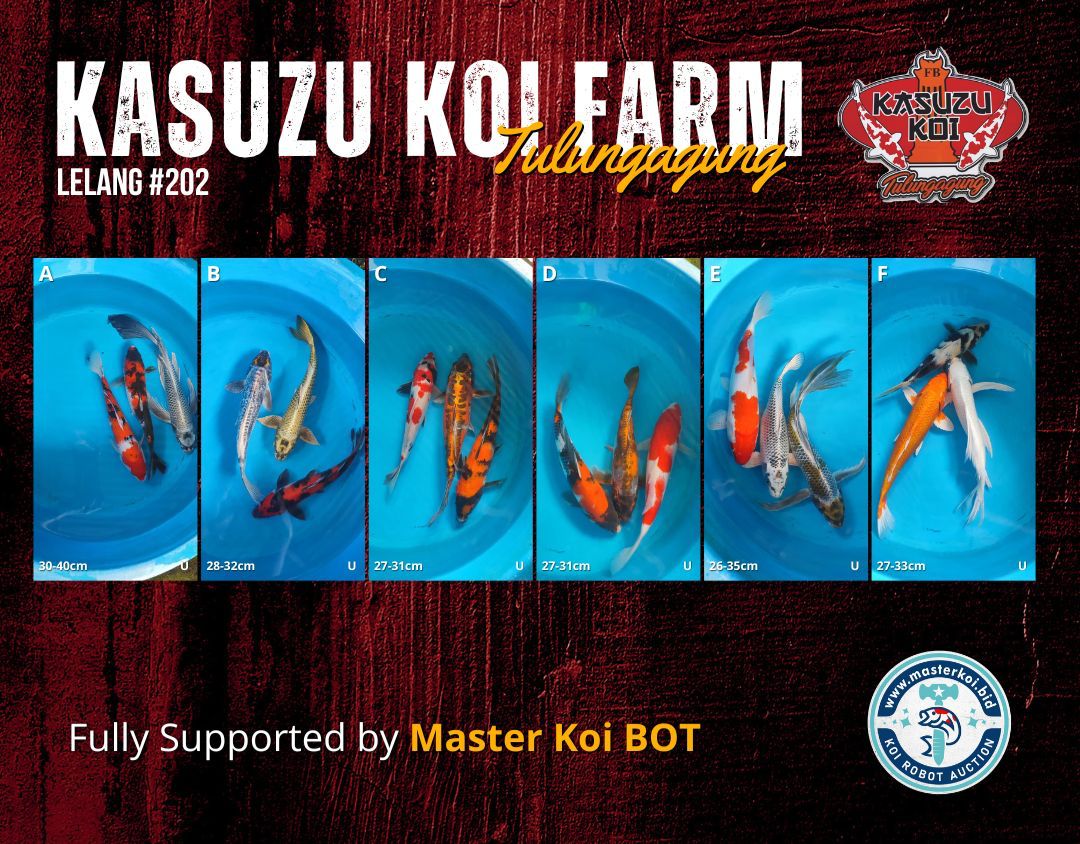 Lelang Koi Online, Jual Beli Ikan Koi, Pasar Koi Terbaik, Agen Lelang Koi, Penawaran Koi Berkualitas, Harga Jual Koi, Lelang Ikan Koi Import, Beli Koi Online, Jual Koi Murah, Koi Showroom, Penjual Koi Terpercaya, Lelang Koi Jakarta, Jual Koi Lokal, Koi Kualitas Unggul, Harga Terbaik Koi, Jual Koi Indukan, Lelang Ikan Hias Koi, Pasar Koi Indonesia, Beli Koi Berkualitas Tinggi, Koi Farm Terbesar, Jual Beli Koi Impor, Lelang Ikan Koi Kualitas Premium, Daftar Harga Koi Terbaru, Pusat Jual Beli Koi, Info Lelang Koi Hari Ini.