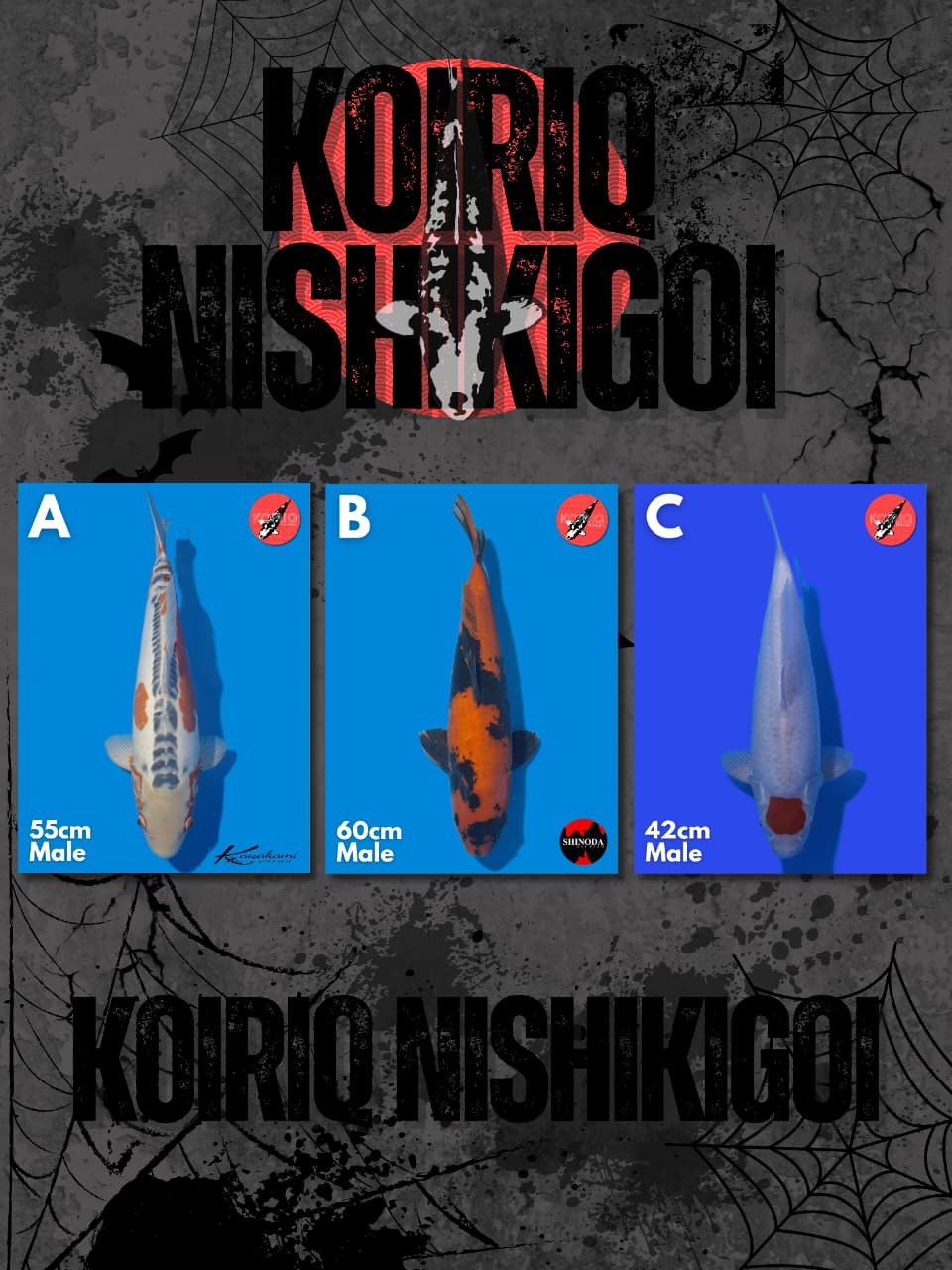 Lelang Koi Online, Jual Beli Ikan Koi, Pasar Koi Terbaik, Agen Lelang Koi, Penawaran Koi Berkualitas, Harga Jual Koi, Lelang Ikan Koi Import, Beli Koi Online, Jual Koi Murah, Koi Showroom, Penjual Koi Terpercaya, Lelang Koi Jakarta, Jual Koi Lokal, Koi Kualitas Unggul, Harga Terbaik Koi, Jual Koi Indukan, Lelang Ikan Hias Koi, Pasar Koi Indonesia, Beli Koi Berkualitas Tinggi, Koi Farm Terbesar, Jual Beli Koi Impor, Lelang Ikan Koi Kualitas Premium, Daftar Harga Koi Terbaru, Pusat Jual Beli Koi, Info Lelang Koi Hari Ini.