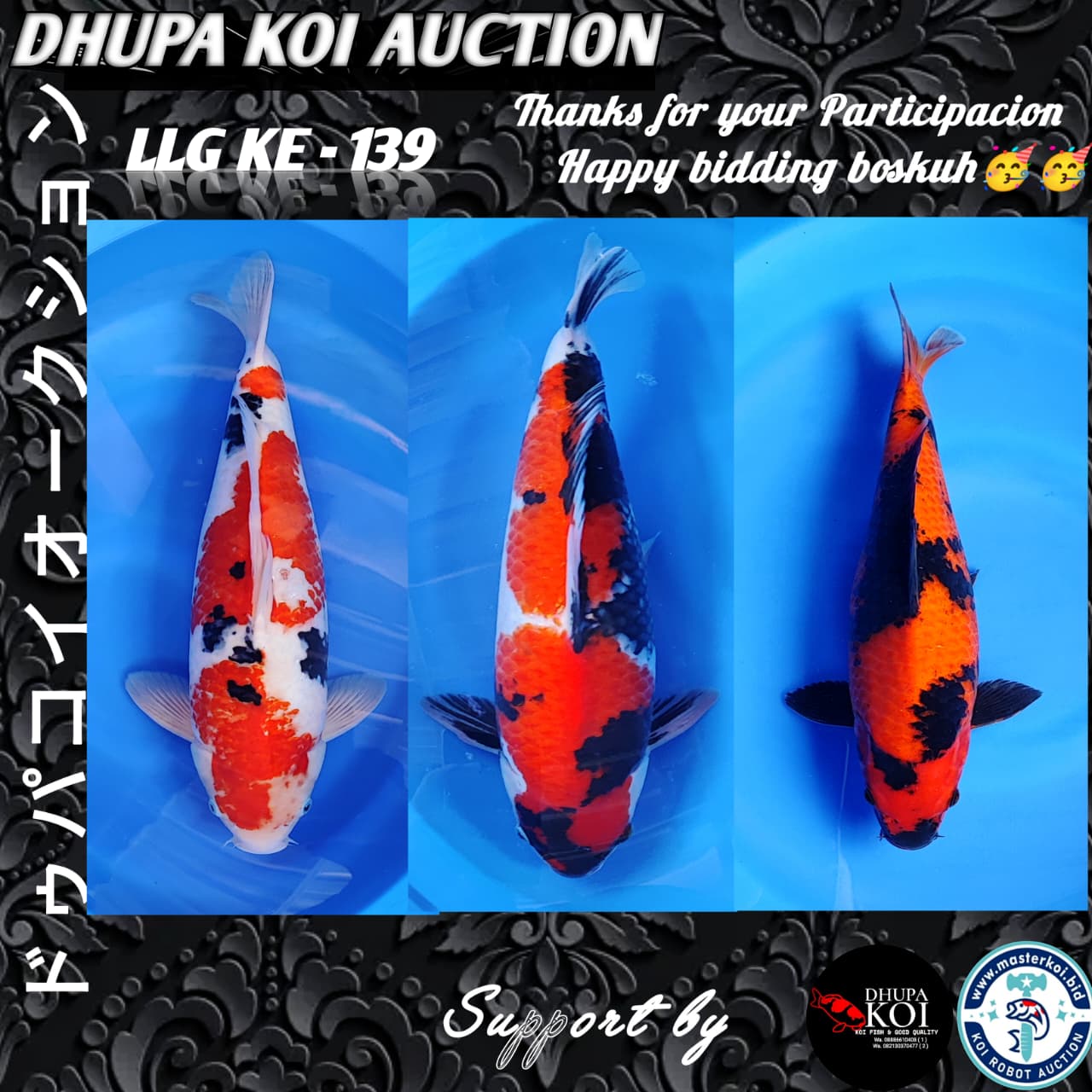 Lelang Koi Online, Jual Beli Ikan Koi, Pasar Koi Terbaik, Agen Lelang Koi, Penawaran Koi Berkualitas, Harga Jual Koi, Lelang Ikan Koi Import, Beli Koi Online, Jual Koi Murah, Koi Showroom, Penjual Koi Terpercaya, Lelang Koi Jakarta, Jual Koi Lokal, Koi Kualitas Unggul, Harga Terbaik Koi, Jual Koi Indukan, Lelang Ikan Hias Koi, Pasar Koi Indonesia, Beli Koi Berkualitas Tinggi, Koi Farm Terbesar, Jual Beli Koi Impor, Lelang Ikan Koi Kualitas Premium, Daftar Harga Koi Terbaru, Pusat Jual Beli Koi, Info Lelang Koi Hari Ini.