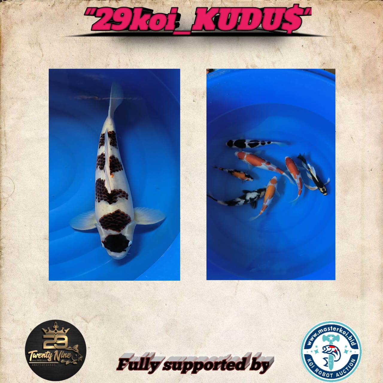 Lelang Koi Online, Jual Beli Ikan Koi, Pasar Koi Terbaik, Agen Lelang Koi, Penawaran Koi Berkualitas, Harga Jual Koi, Lelang Ikan Koi Import, Beli Koi Online, Jual Koi Murah, Koi Showroom, Penjual Koi Terpercaya, Lelang Koi Jakarta, Jual Koi Lokal, Koi Kualitas Unggul, Harga Terbaik Koi, Jual Koi Indukan, Lelang Ikan Hias Koi, Pasar Koi Indonesia, Beli Koi Berkualitas Tinggi, Koi Farm Terbesar, Jual Beli Koi Impor, Lelang Ikan Koi Kualitas Premium, Daftar Harga Koi Terbaru, Pusat Jual Beli Koi, Info Lelang Koi Hari Ini.