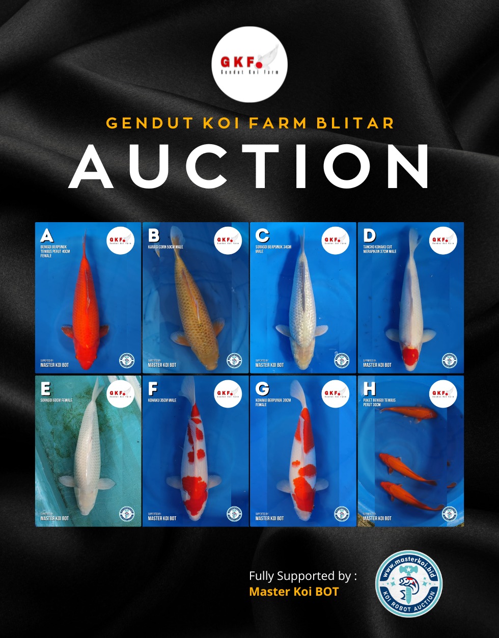Lelang Koi Online, Jual Beli Ikan Koi, Pasar Koi Terbaik, Agen Lelang Koi, Penawaran Koi Berkualitas, Harga Jual Koi, Lelang Ikan Koi Import, Beli Koi Online, Jual Koi Murah, Koi Showroom, Penjual Koi Terpercaya, Lelang Koi Jakarta, Jual Koi Lokal, Koi Kualitas Unggul, Harga Terbaik Koi, Jual Koi Indukan, Lelang Ikan Hias Koi, Pasar Koi Indonesia, Beli Koi Berkualitas Tinggi, Koi Farm Terbesar, Jual Beli Koi Impor, Lelang Ikan Koi Kualitas Premium, Daftar Harga Koi Terbaru, Pusat Jual Beli Koi, Info Lelang Koi Hari Ini.