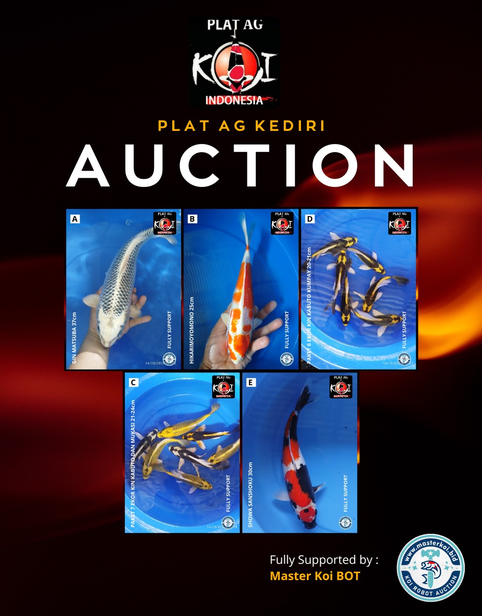 Lelang Koi Online, Jual Beli Ikan Koi, Pasar Koi Terbaik, Agen Lelang Koi, Penawaran Koi Berkualitas, Harga Jual Koi, Lelang Ikan Koi Import, Beli Koi Online, Jual Koi Murah, Koi Showroom, Penjual Koi Terpercaya, Lelang Koi Jakarta, Jual Koi Lokal, Koi Kualitas Unggul, Harga Terbaik Koi, Jual Koi Indukan, Lelang Ikan Hias Koi, Pasar Koi Indonesia, Beli Koi Berkualitas Tinggi, Koi Farm Terbesar, Jual Beli Koi Impor, Lelang Ikan Koi Kualitas Premium, Daftar Harga Koi Terbaru, Pusat Jual Beli Koi, Info Lelang Koi Hari Ini.