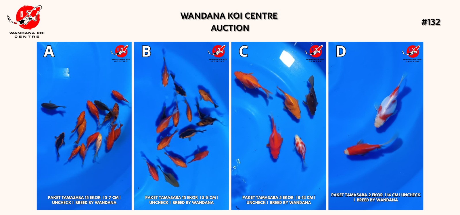 Lelang Koi Online, Jual Beli Ikan Koi, Pasar Koi Terbaik, Agen Lelang Koi, Penawaran Koi Berkualitas, Harga Jual Koi, Lelang Ikan Koi Import, Beli Koi Online, Jual Koi Murah, Koi Showroom, Penjual Koi Terpercaya, Lelang Koi Jakarta, Jual Koi Lokal, Koi Kualitas Unggul, Harga Terbaik Koi, Jual Koi Indukan, Lelang Ikan Hias Koi, Pasar Koi Indonesia, Beli Koi Berkualitas Tinggi, Koi Farm Terbesar, Jual Beli Koi Impor, Lelang Ikan Koi Kualitas Premium, Daftar Harga Koi Terbaru, Pusat Jual Beli Koi, Info Lelang Koi Hari Ini.