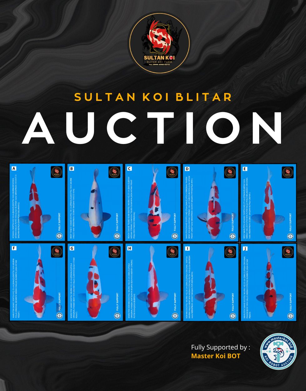 Lelang Koi Online, Jual Beli Ikan Koi, Pasar Koi Terbaik, Agen Lelang Koi, Penawaran Koi Berkualitas, Harga Jual Koi, Lelang Ikan Koi Import, Beli Koi Online, Jual Koi Murah, Koi Showroom, Penjual Koi Terpercaya, Lelang Koi Jakarta, Jual Koi Lokal, Koi Kualitas Unggul, Harga Terbaik Koi, Jual Koi Indukan, Lelang Ikan Hias Koi, Pasar Koi Indonesia, Beli Koi Berkualitas Tinggi, Koi Farm Terbesar, Jual Beli Koi Impor, Lelang Ikan Koi Kualitas Premium, Daftar Harga Koi Terbaru, Pusat Jual Beli Koi, Info Lelang Koi Hari Ini.