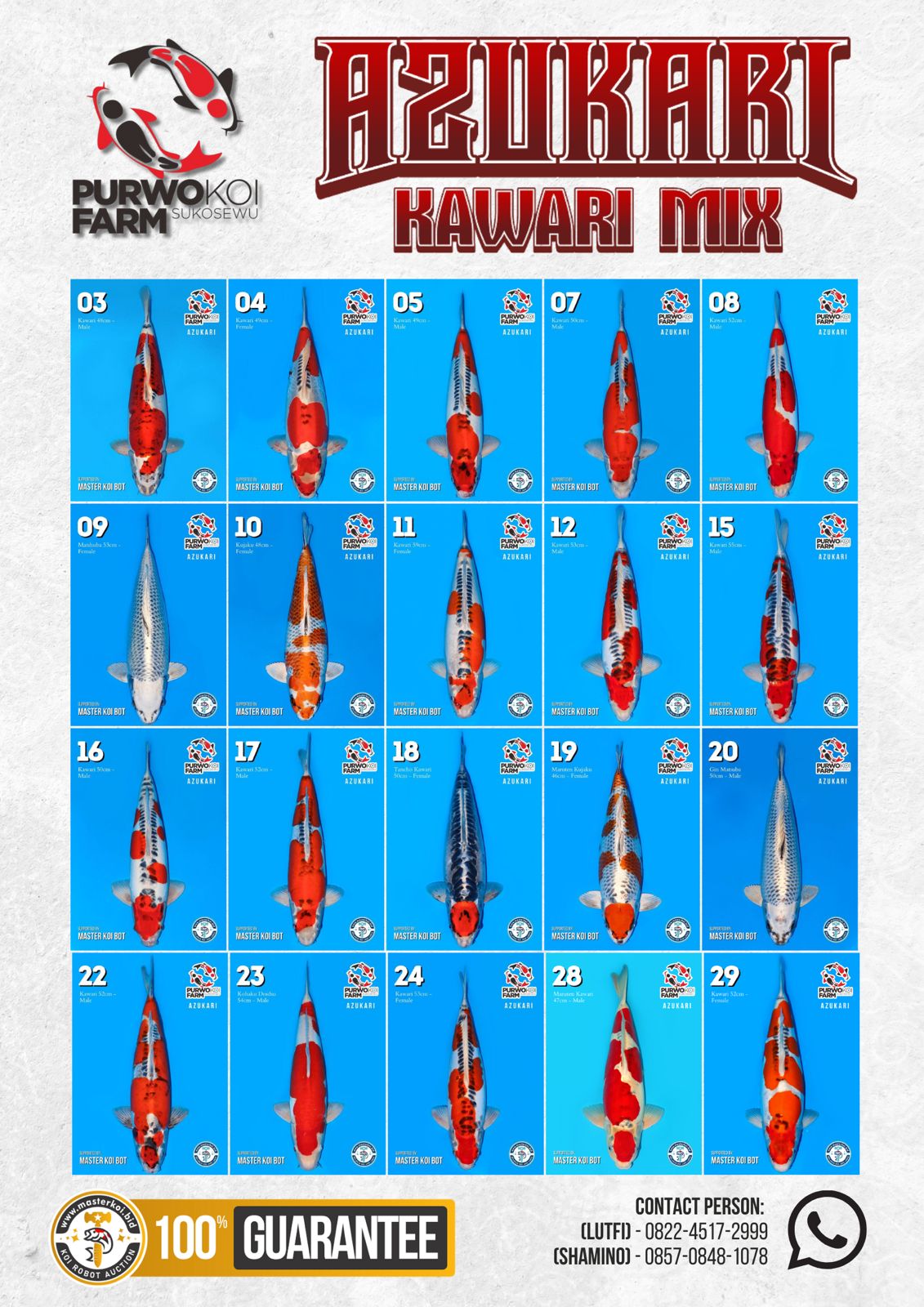 Lelang Koi Online, Jual Beli Ikan Koi, Pasar Koi Terbaik, Agen Lelang Koi, Penawaran Koi Berkualitas, Harga Jual Koi, Lelang Ikan Koi Import, Beli Koi Online, Jual Koi Murah, Koi Showroom, Penjual Koi Terpercaya, Lelang Koi Jakarta, Jual Koi Lokal, Koi Kualitas Unggul, Harga Terbaik Koi, Jual Koi Indukan, Lelang Ikan Hias Koi, Pasar Koi Indonesia, Beli Koi Berkualitas Tinggi, Koi Farm Terbesar, Jual Beli Koi Impor, Lelang Ikan Koi Kualitas Premium, Daftar Harga Koi Terbaru, Pusat Jual Beli Koi, Info Lelang Koi Hari Ini.