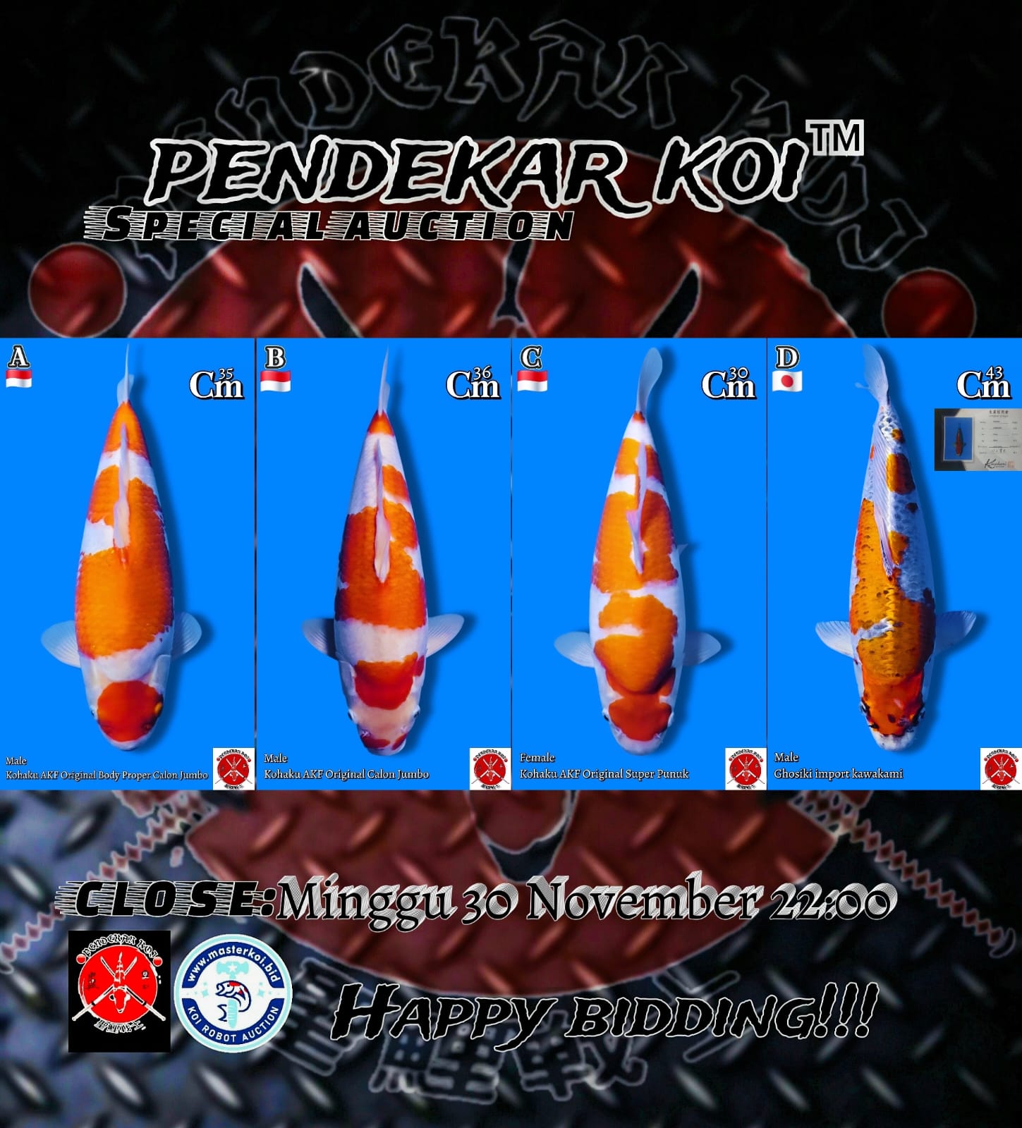 Lelang Koi Online, Jual Beli Ikan Koi, Pasar Koi Terbaik, Agen Lelang Koi, Penawaran Koi Berkualitas, Harga Jual Koi, Lelang Ikan Koi Import, Beli Koi Online, Jual Koi Murah, Koi Showroom, Penjual Koi Terpercaya, Lelang Koi Jakarta, Jual Koi Lokal, Koi Kualitas Unggul, Harga Terbaik Koi, Jual Koi Indukan, Lelang Ikan Hias Koi, Pasar Koi Indonesia, Beli Koi Berkualitas Tinggi, Koi Farm Terbesar, Jual Beli Koi Impor, Lelang Ikan Koi Kualitas Premium, Daftar Harga Koi Terbaru, Pusat Jual Beli Koi, Info Lelang Koi Hari Ini.