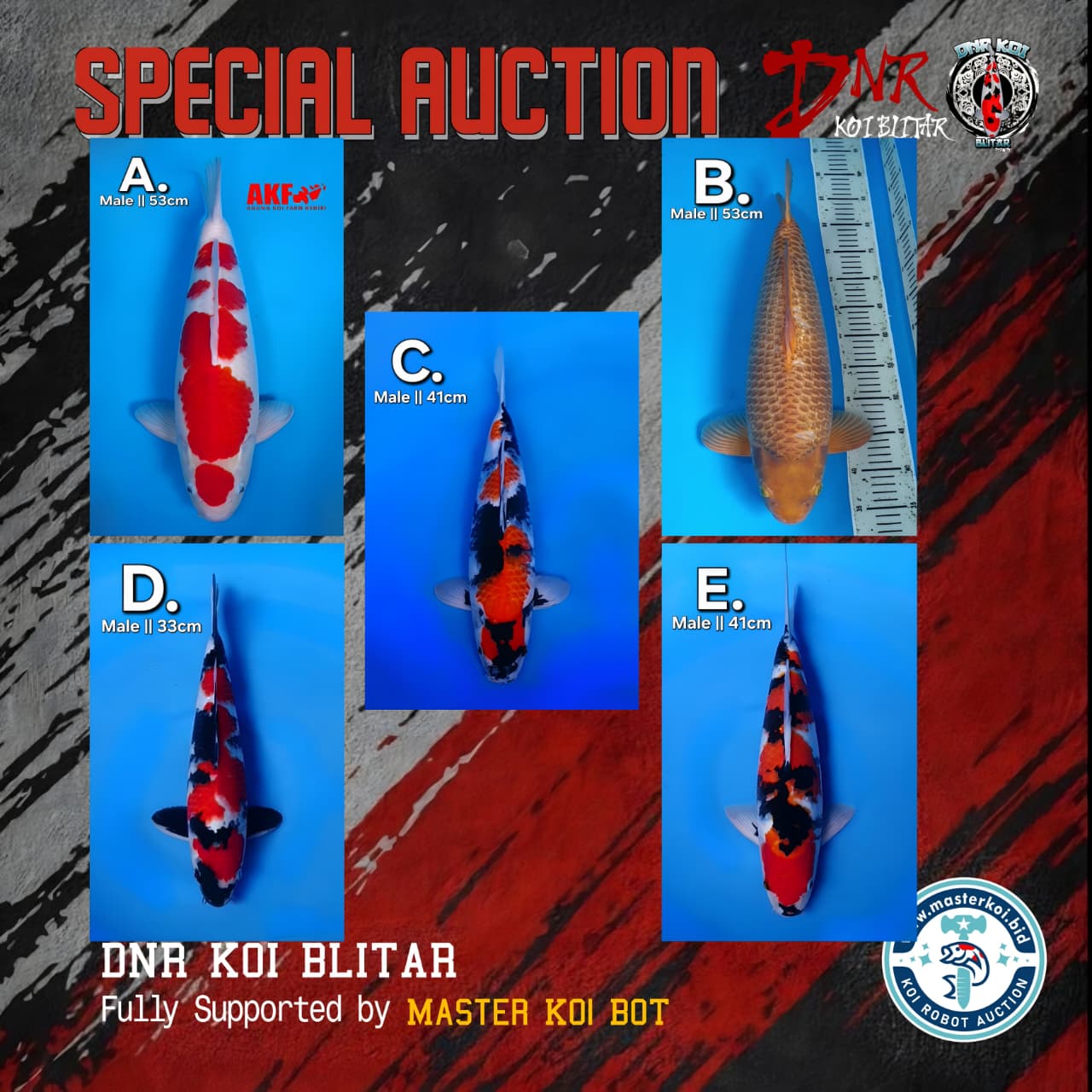 Lelang Koi Online, Jual Beli Ikan Koi, Pasar Koi Terbaik, Agen Lelang Koi, Penawaran Koi Berkualitas, Harga Jual Koi, Lelang Ikan Koi Import, Beli Koi Online, Jual Koi Murah, Koi Showroom, Penjual Koi Terpercaya, Lelang Koi Jakarta, Jual Koi Lokal, Koi Kualitas Unggul, Harga Terbaik Koi, Jual Koi Indukan, Lelang Ikan Hias Koi, Pasar Koi Indonesia, Beli Koi Berkualitas Tinggi, Koi Farm Terbesar, Jual Beli Koi Impor, Lelang Ikan Koi Kualitas Premium, Daftar Harga Koi Terbaru, Pusat Jual Beli Koi, Info Lelang Koi Hari Ini.
